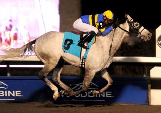 Sand Cove wins Sir Barton - Dec. 1, 2010