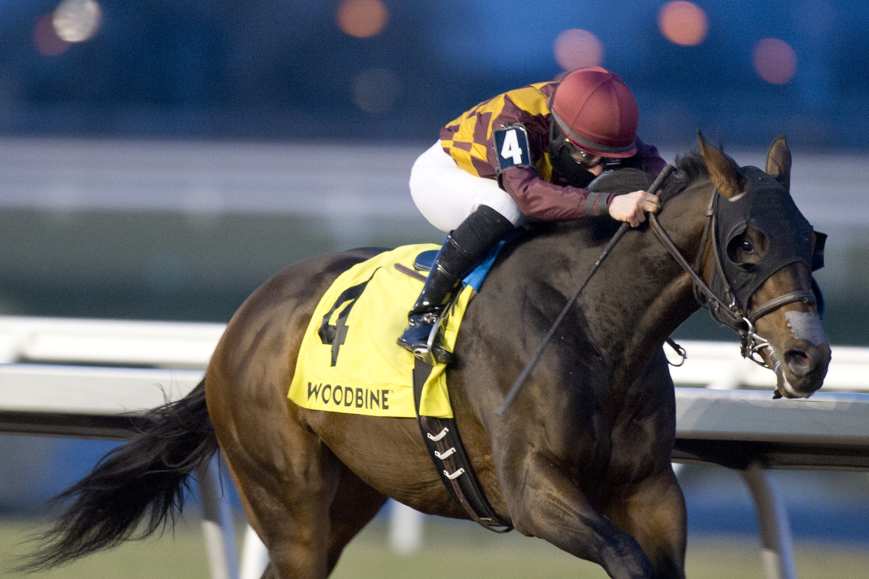 Dun Drum wins the 2018 Kingarvie Stakes
