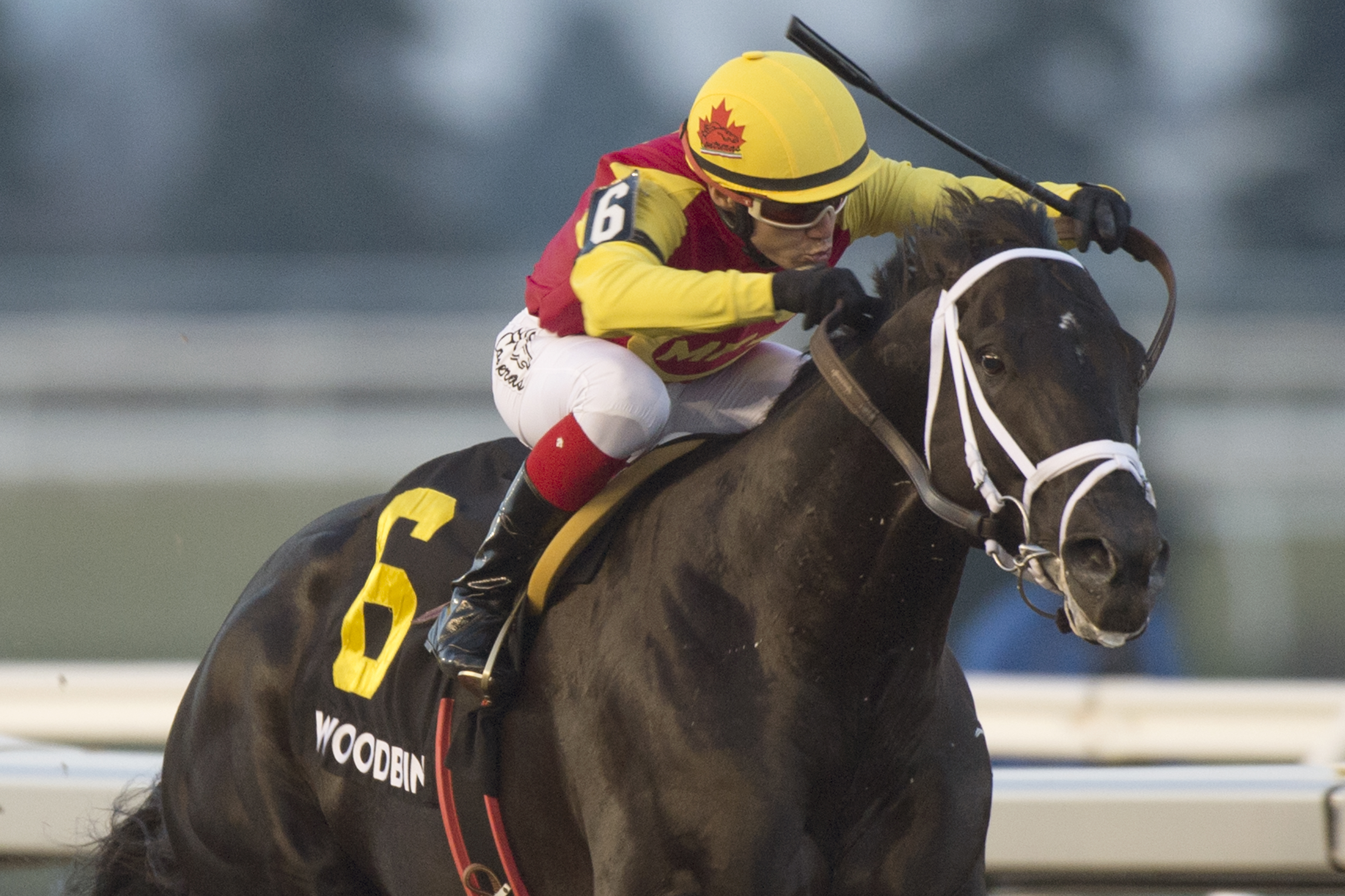 Kingsport wins 2018 Sir Barton Stakes