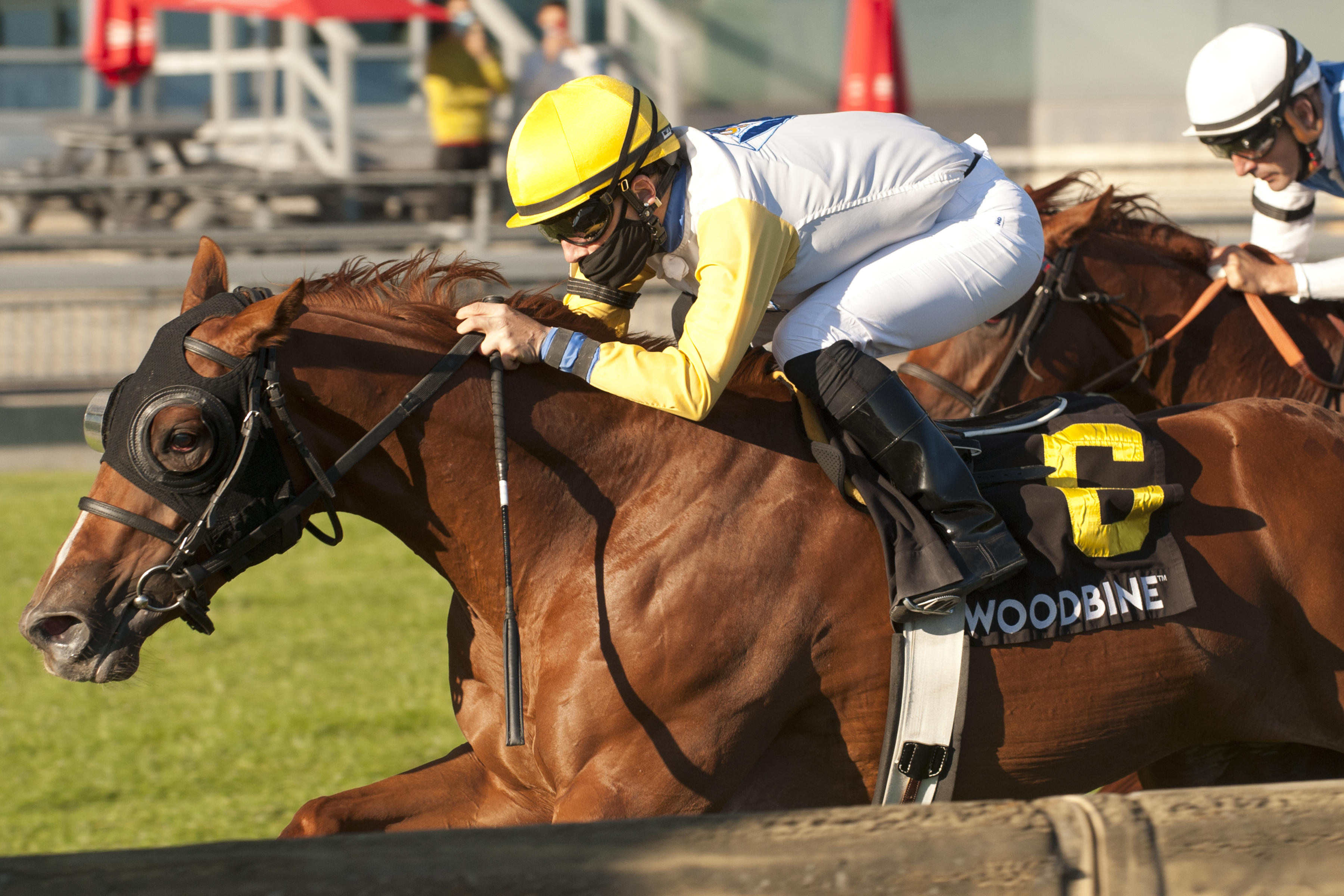 Lady Speightspeare wins Natalma Stakes 9-20-2020