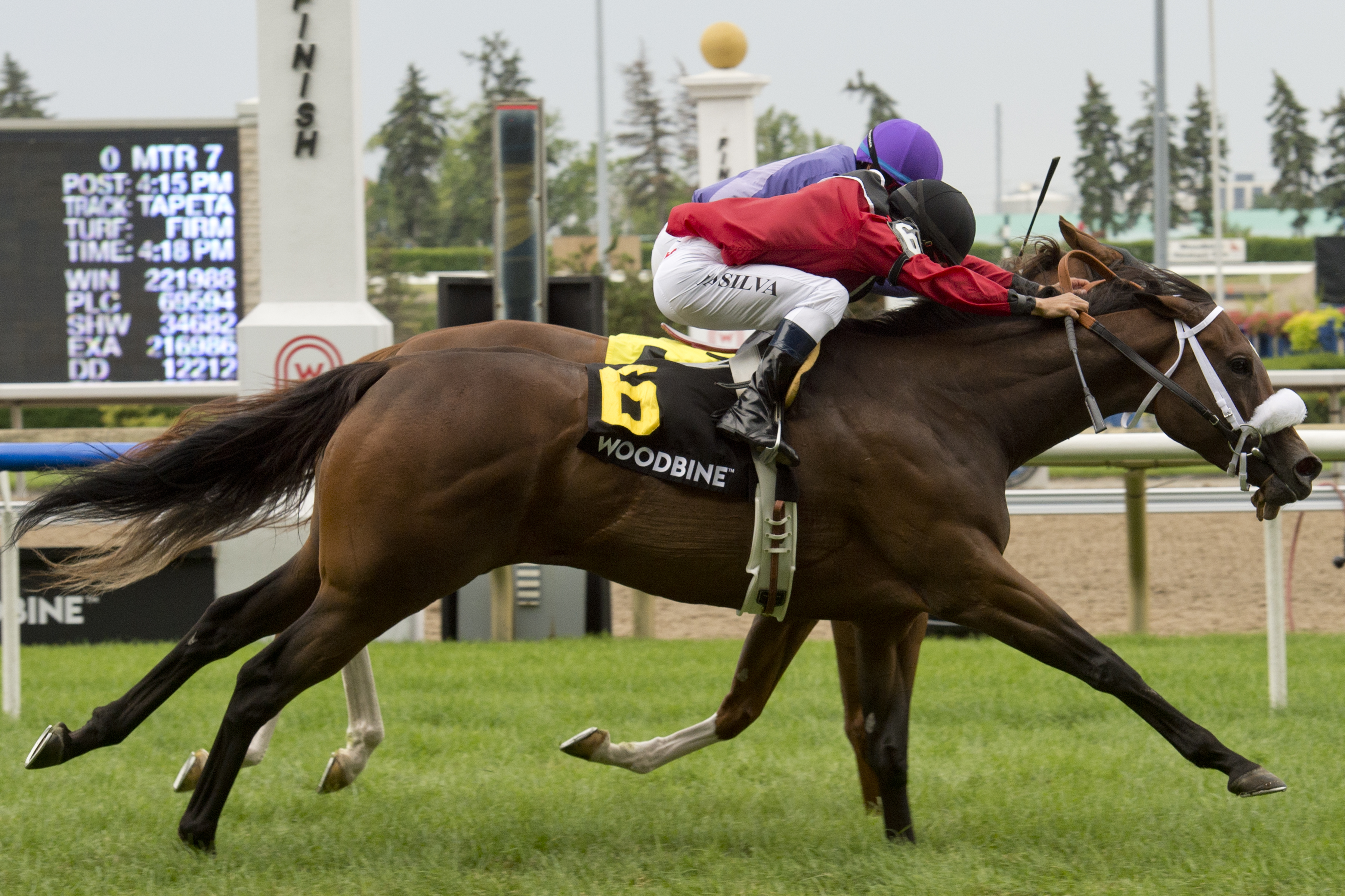 Way to Versaille wins 2018 Royal North