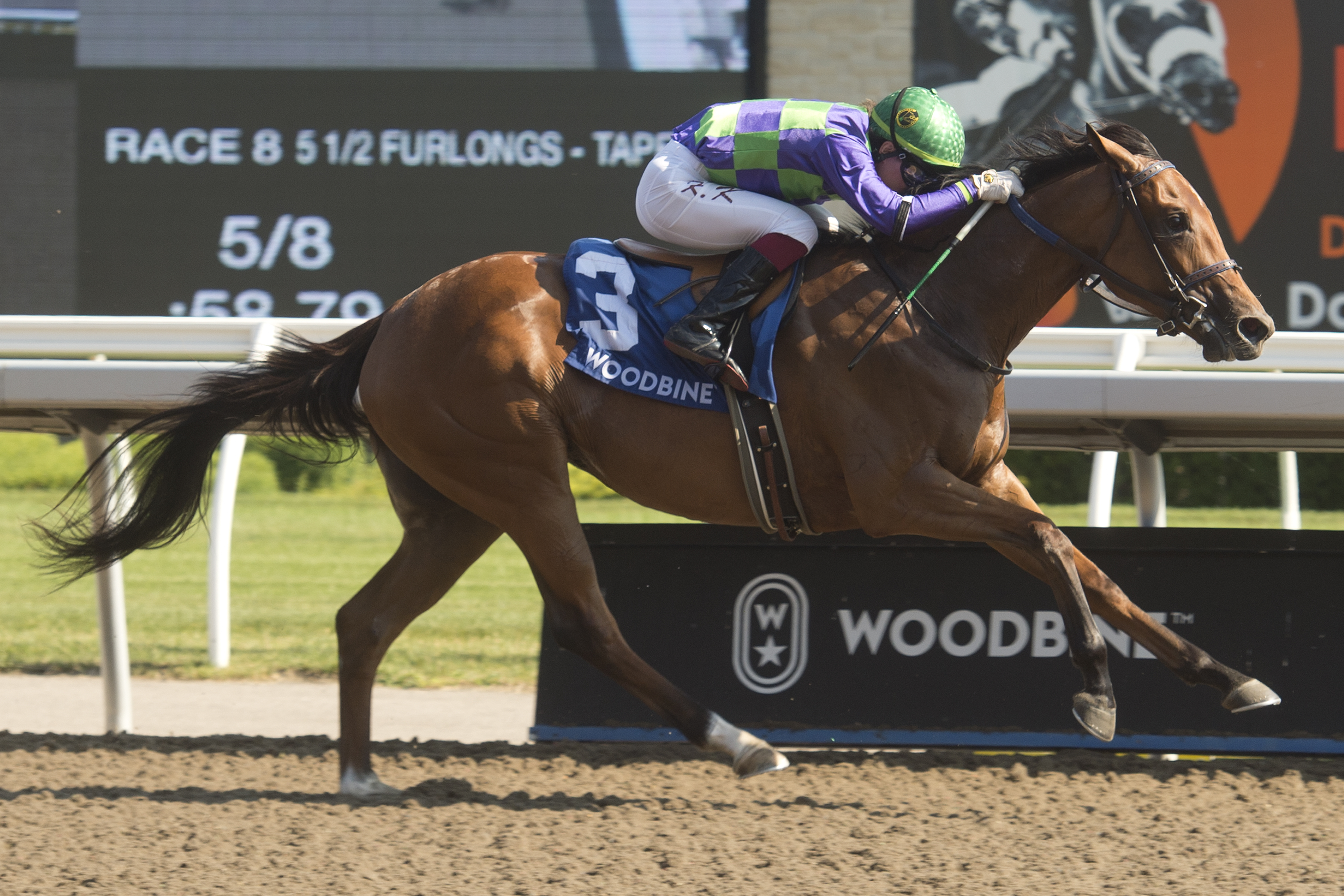 Collecting Flatter wins My Dear Stakes 7-16-2022