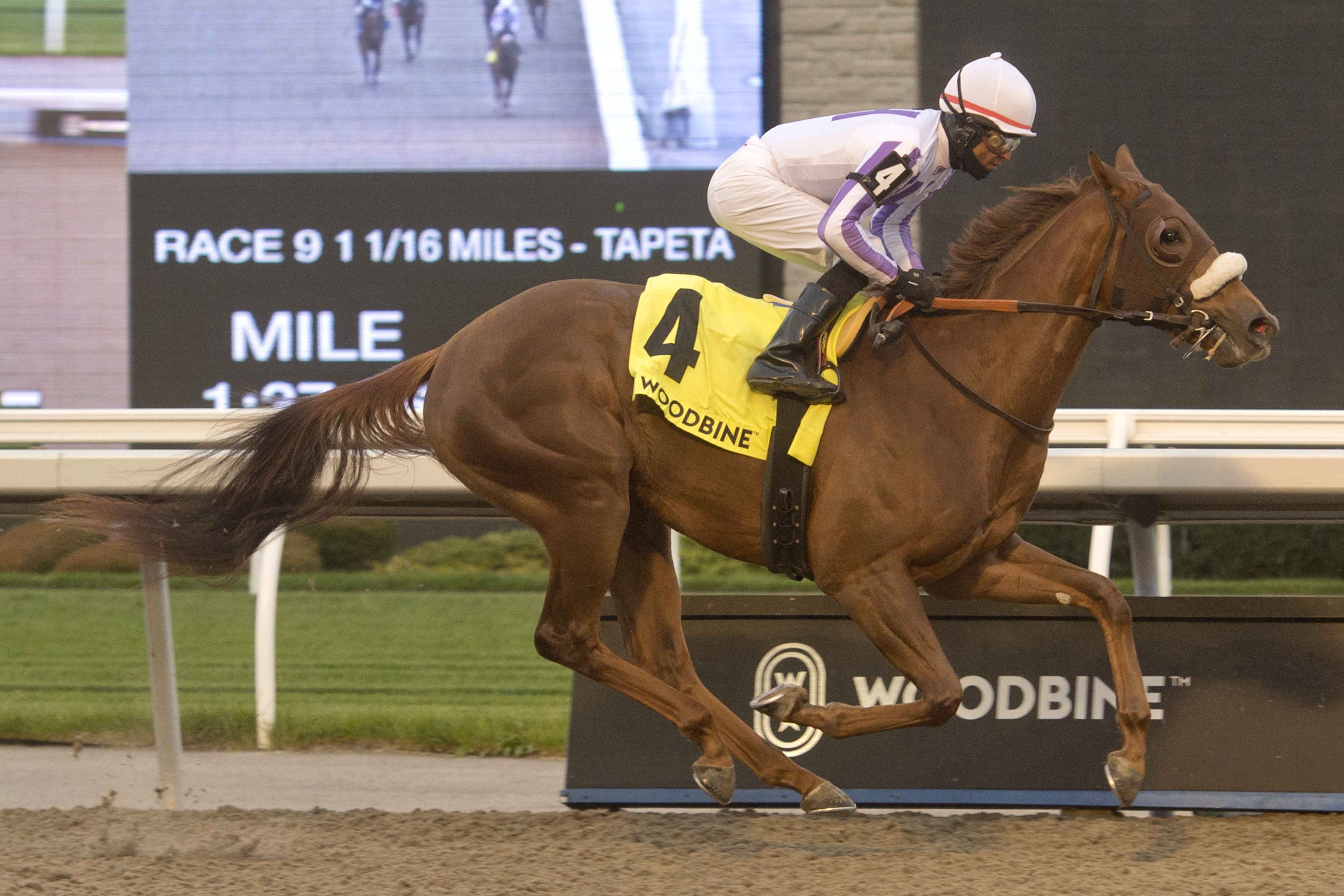 Dreaming of Drew wins Princess Elizabeth Stakes 10-31-2020