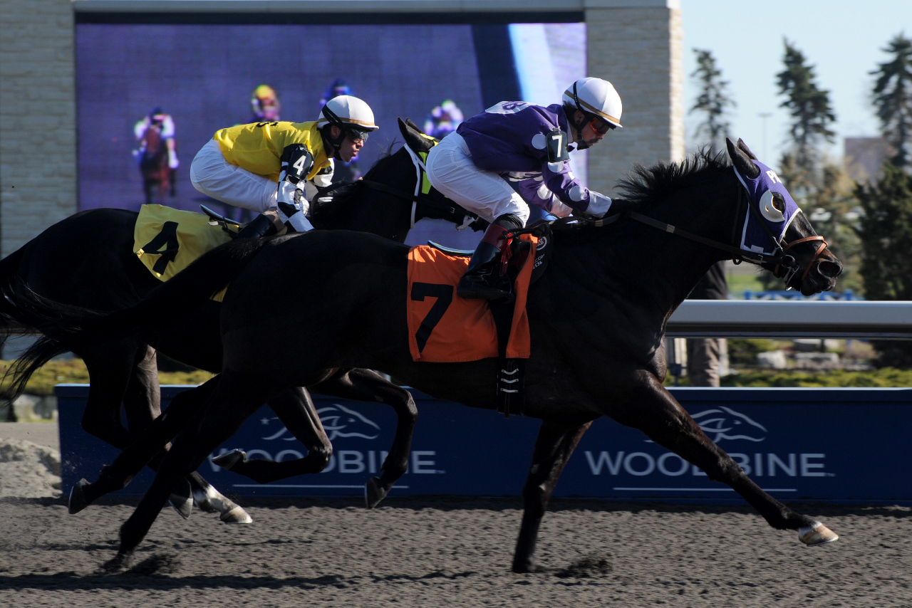 Gypsy Ring/Debut Stakes