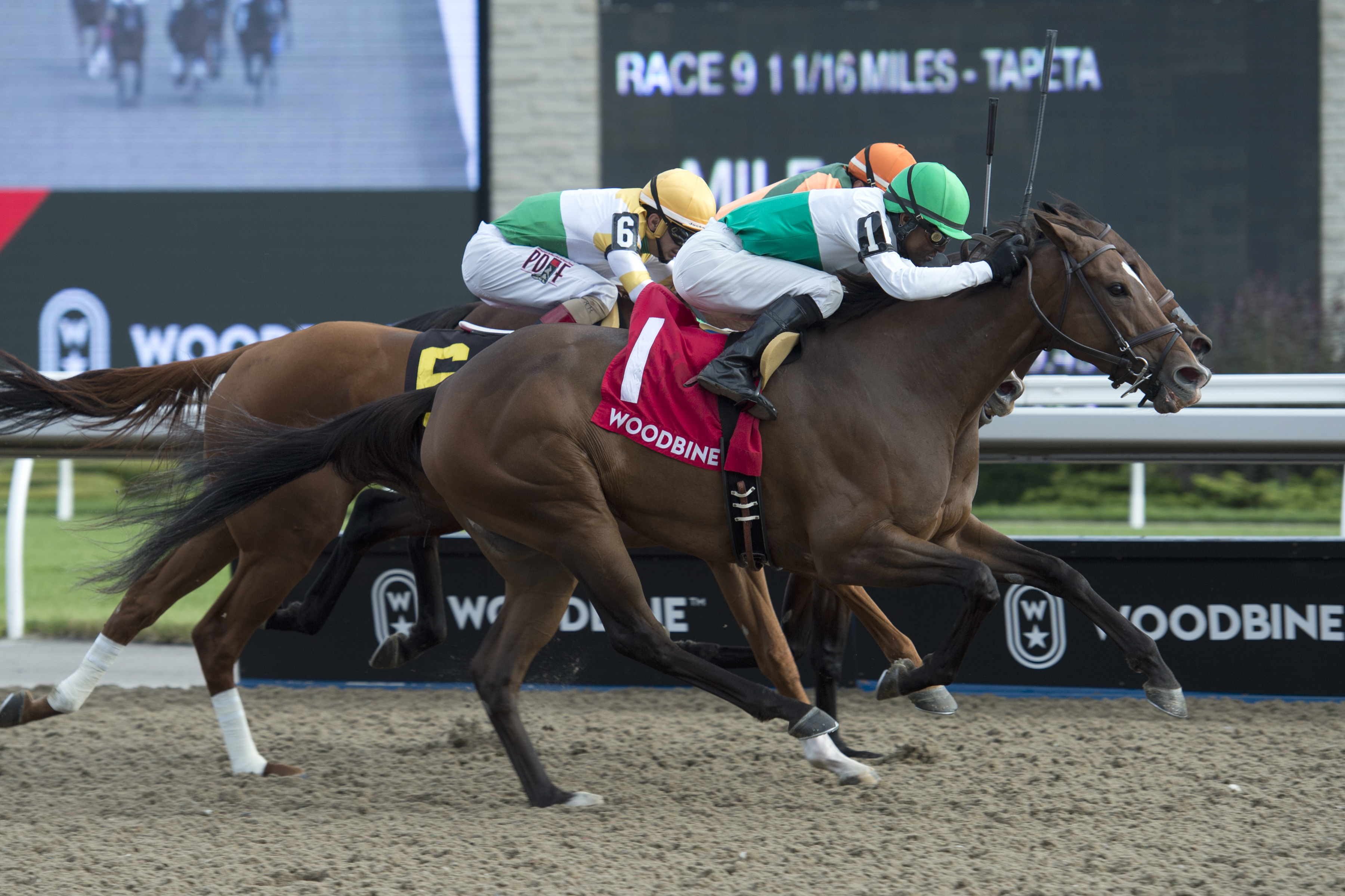Lift Up (No. 1) wins the 2019 Belle Mahone Stakes