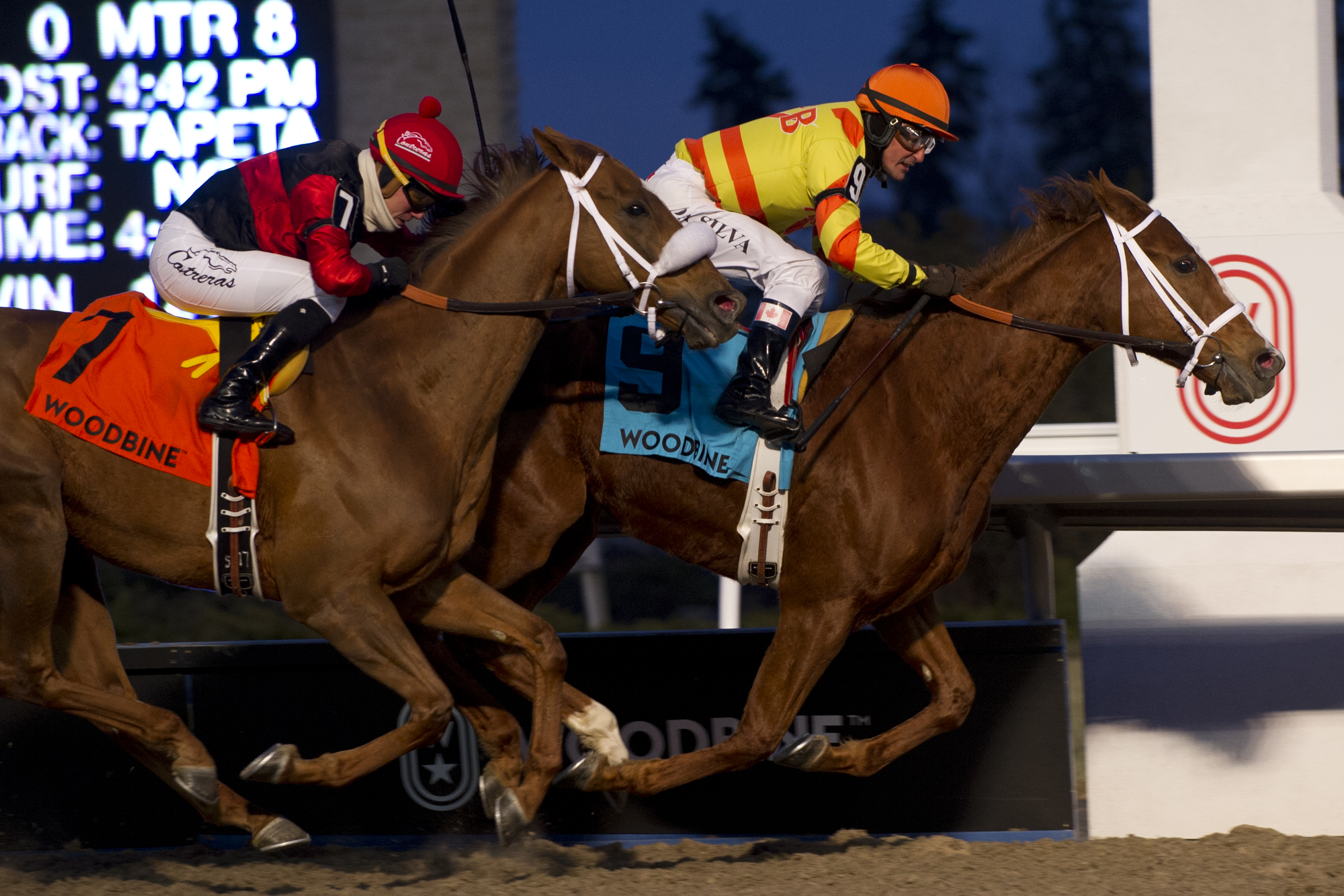 Pumpkin Rumble wins 2018 Valedictory Stakes