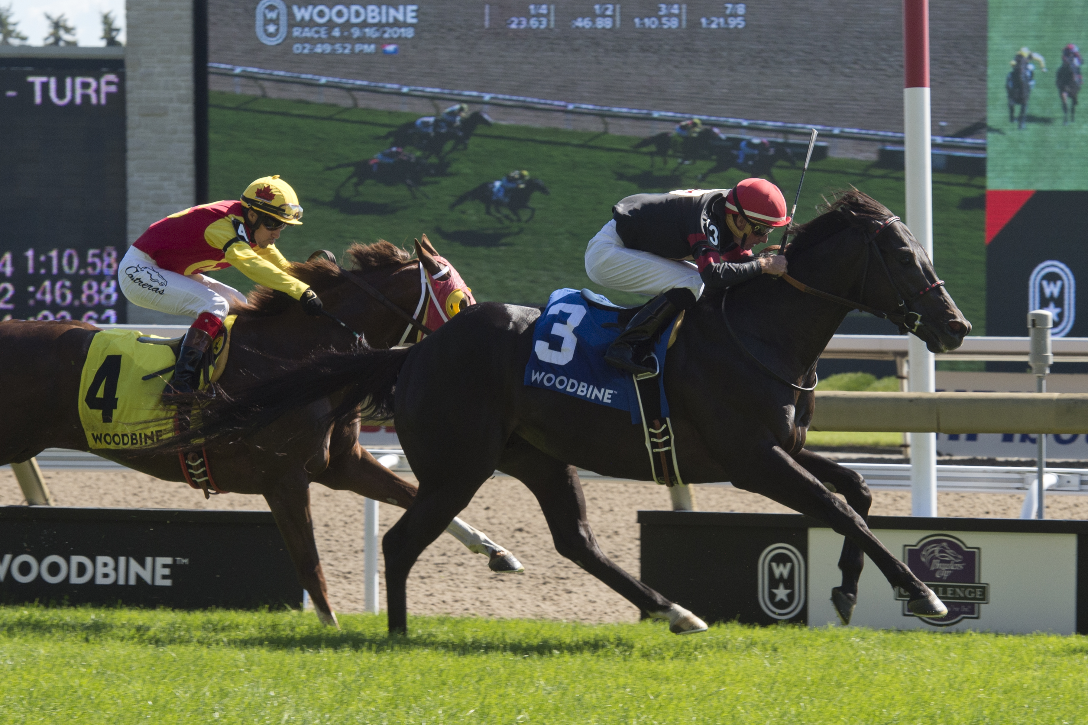 Silent Poet wins 2018 Vice Regent