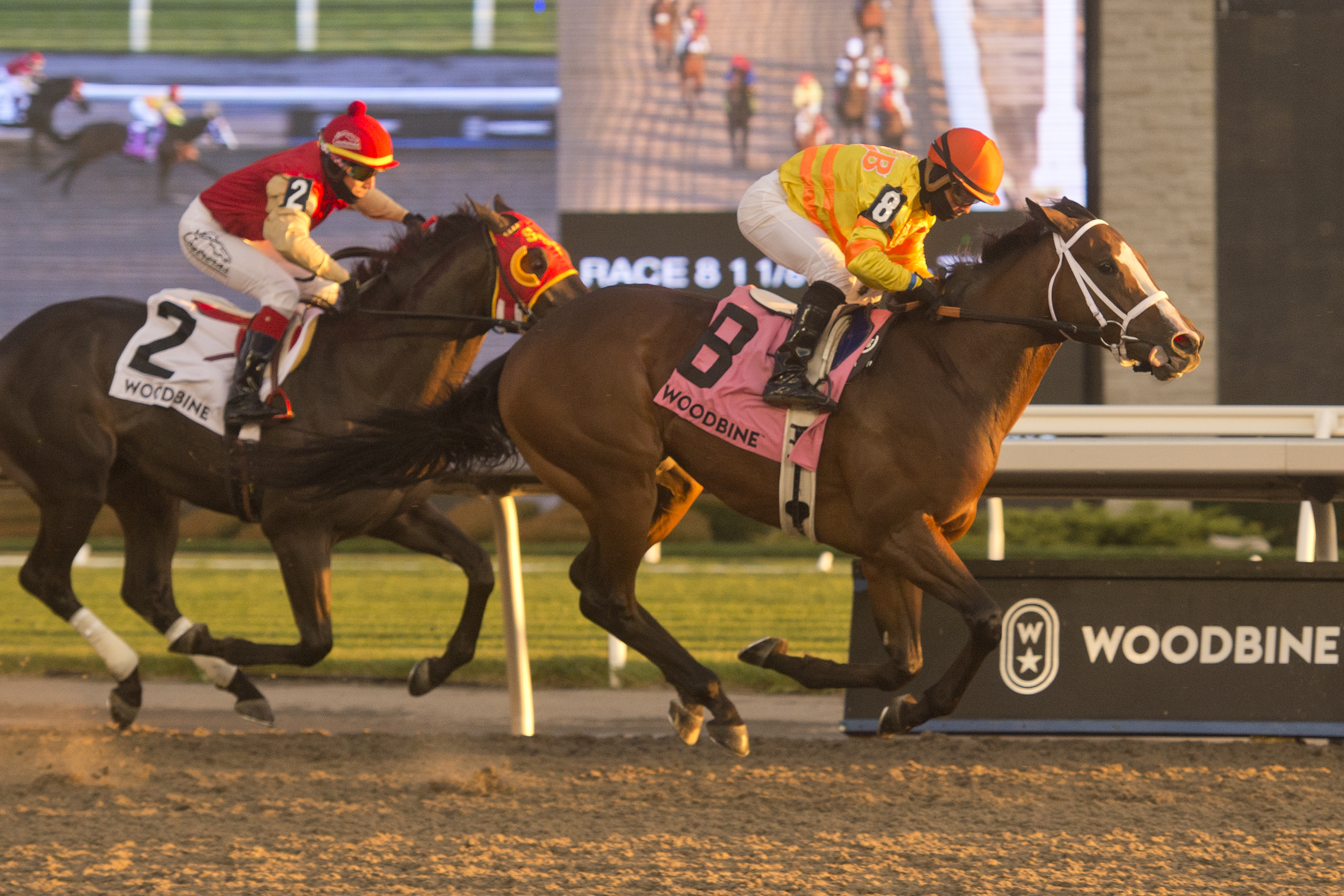 Stephen wins Coronation Futurity 11-01-2020