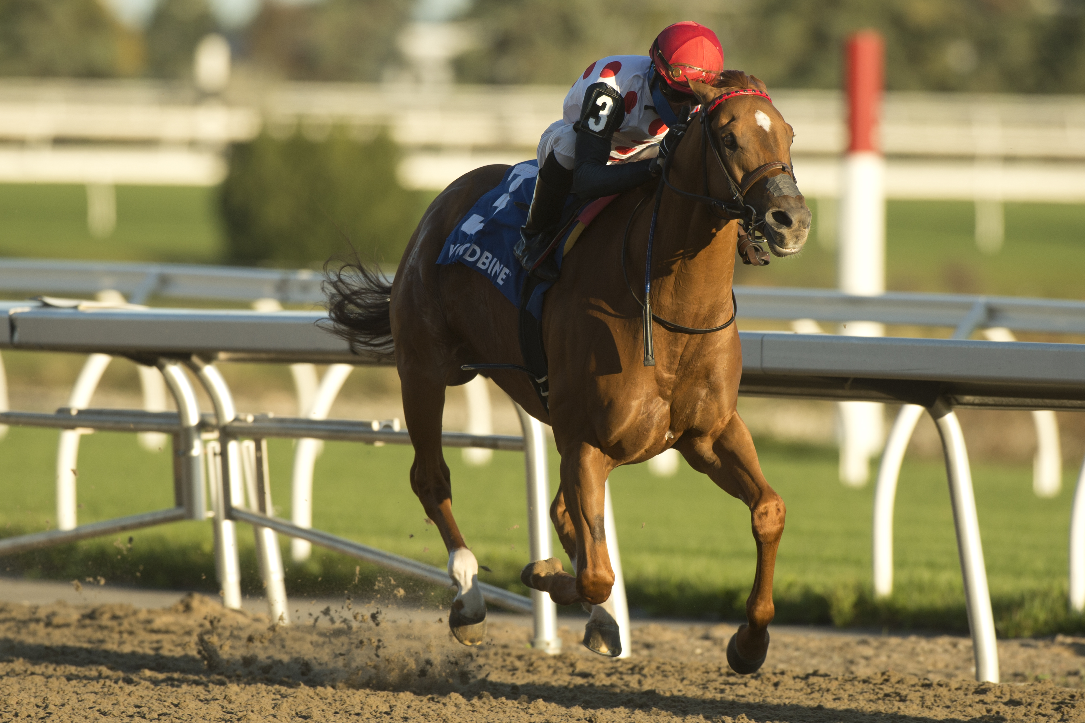 Salute with Honor wins Durham Cup 10-11-2020