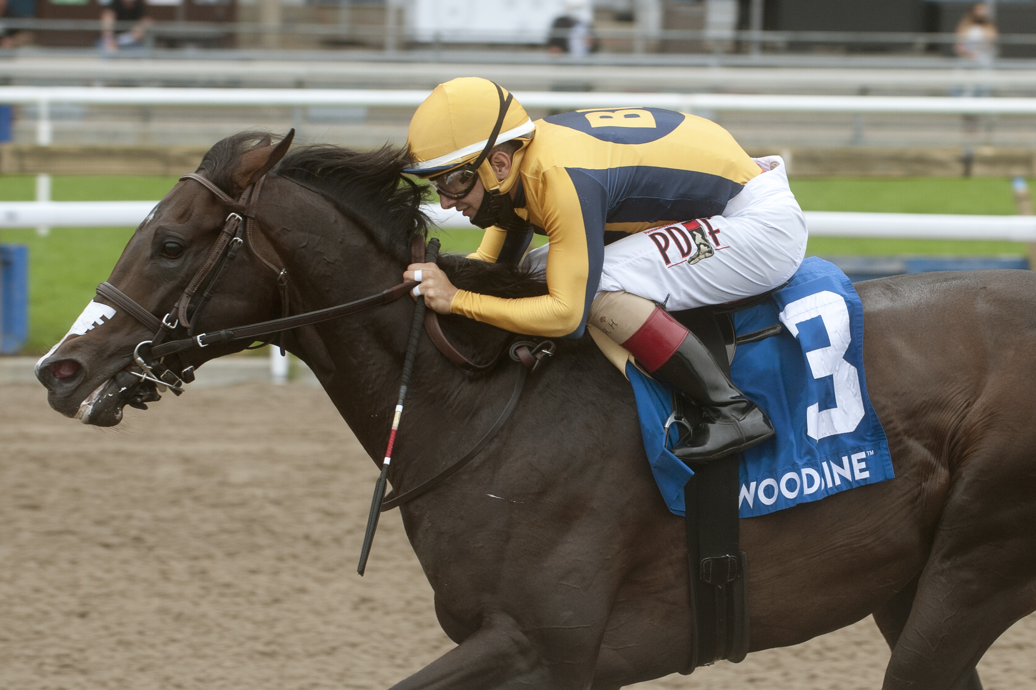 Easy Time wins Marine Stakes 7-11-2021