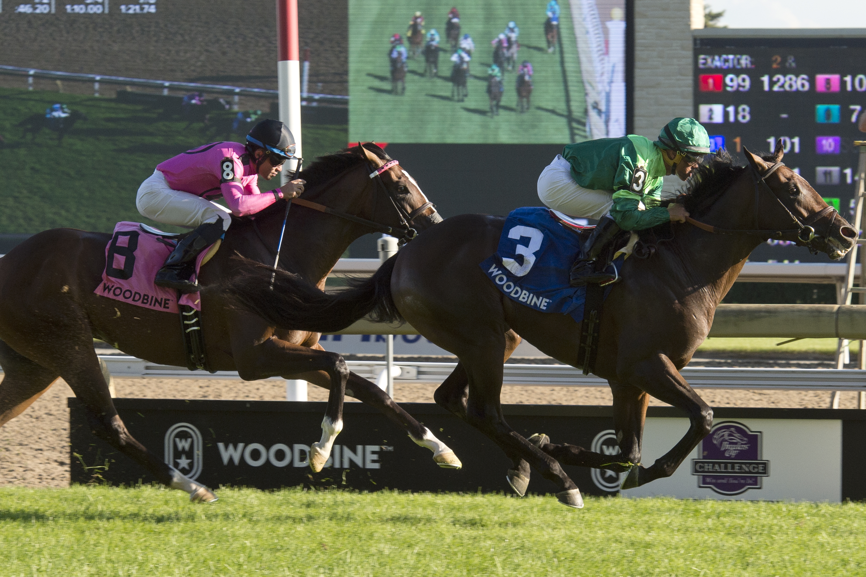Fog of War wins 2018 Summer Stakes