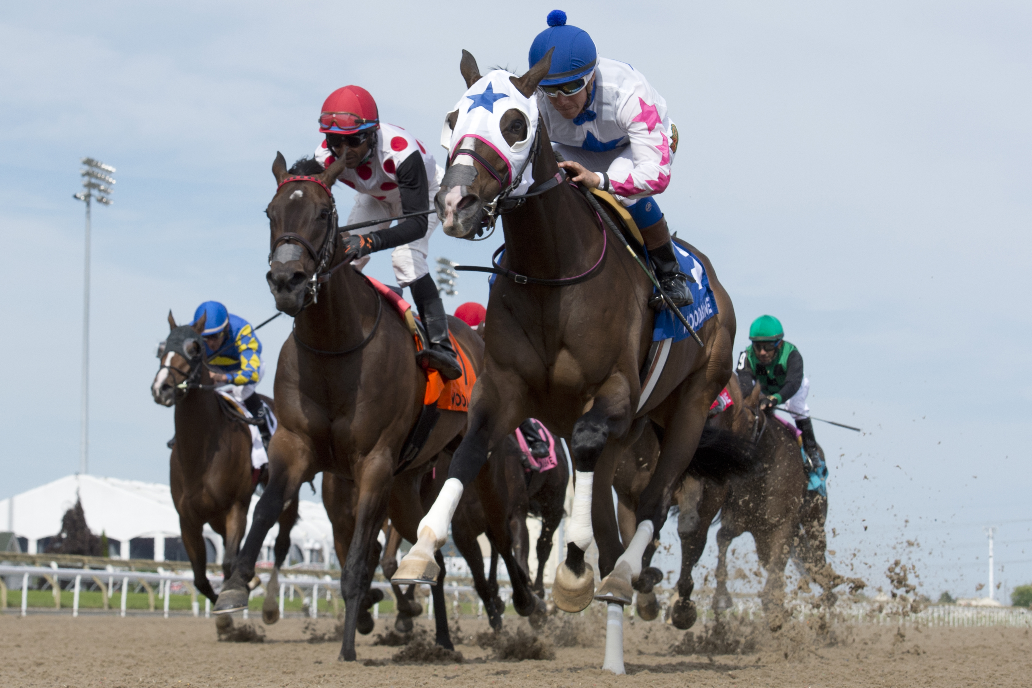 Code Warrior wins 2018 Hendrie Stakes