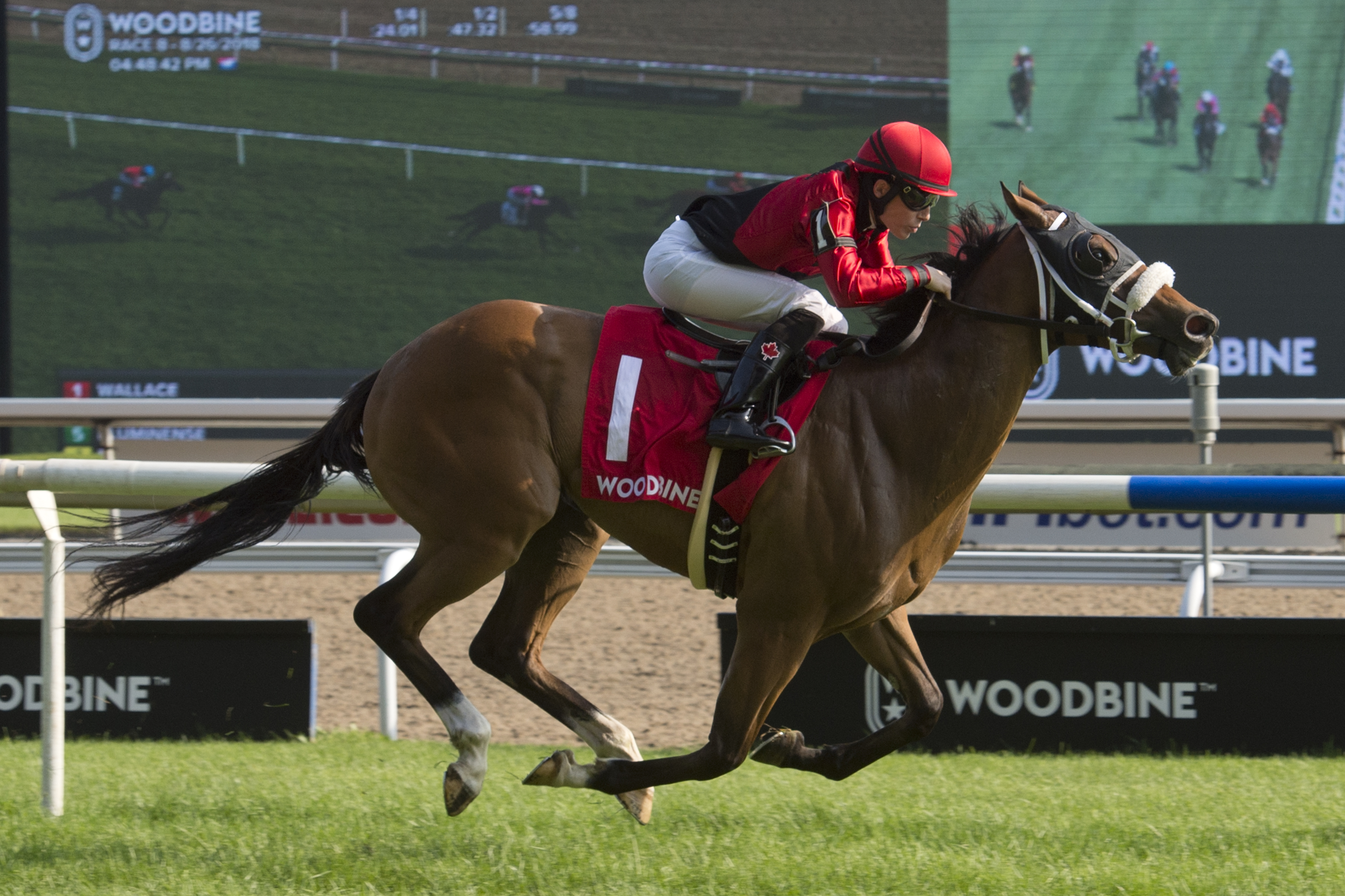 Wallace wins 2018 Soaring Free Stakes