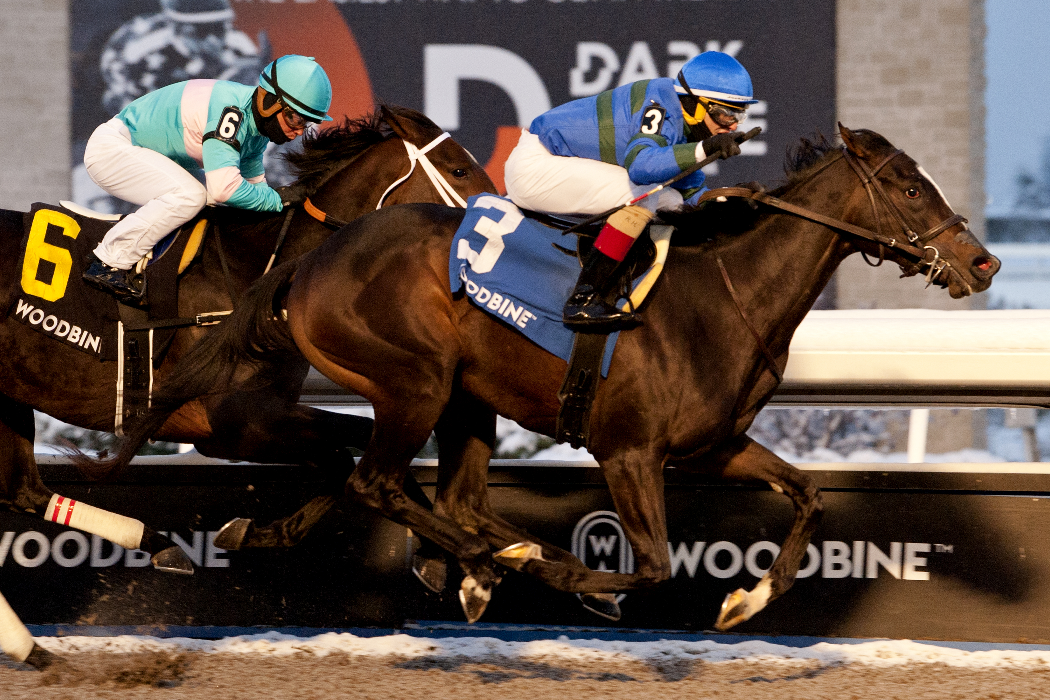 Mrs. Barbara wins Mazarine 11-28-2021