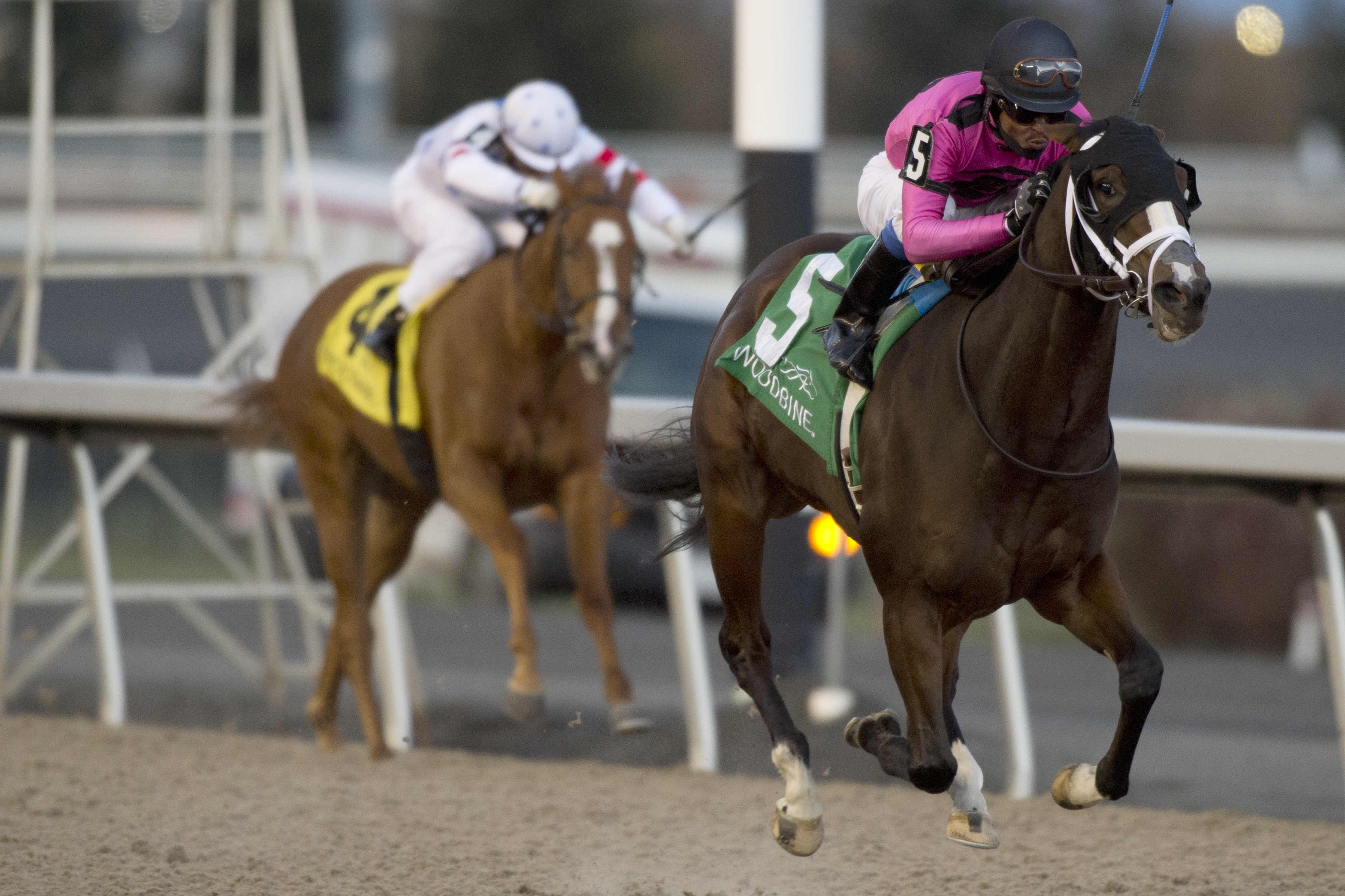 Win the War takes the Glorious Song Stakes