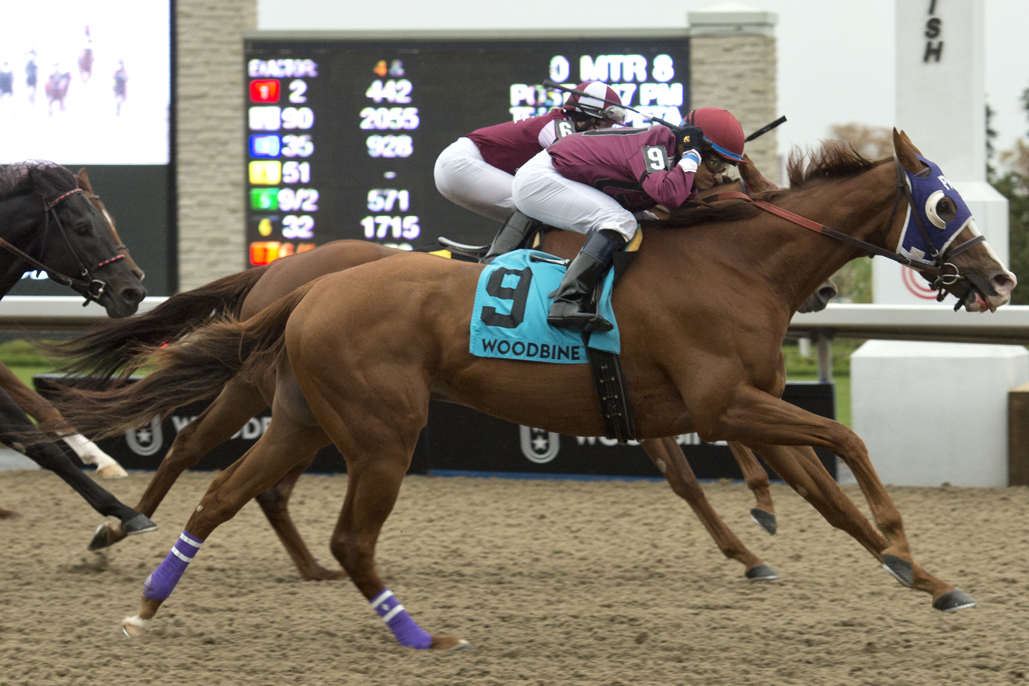 Thor's Rocket wins 2018 Overskate