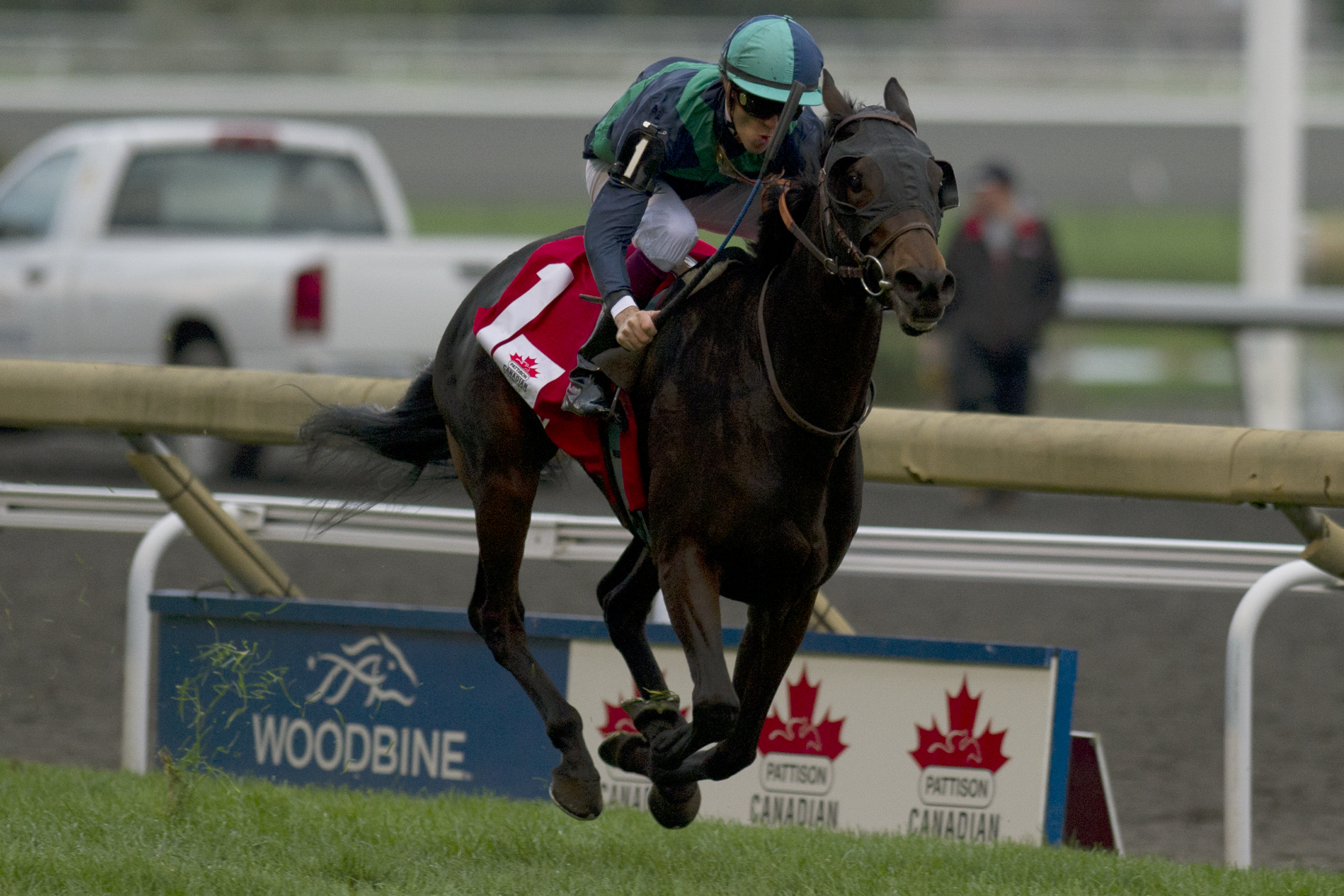 Sarah Lynam Racing Woodbine: French filly Sarah Lynx dominates Canadian International at 22-1