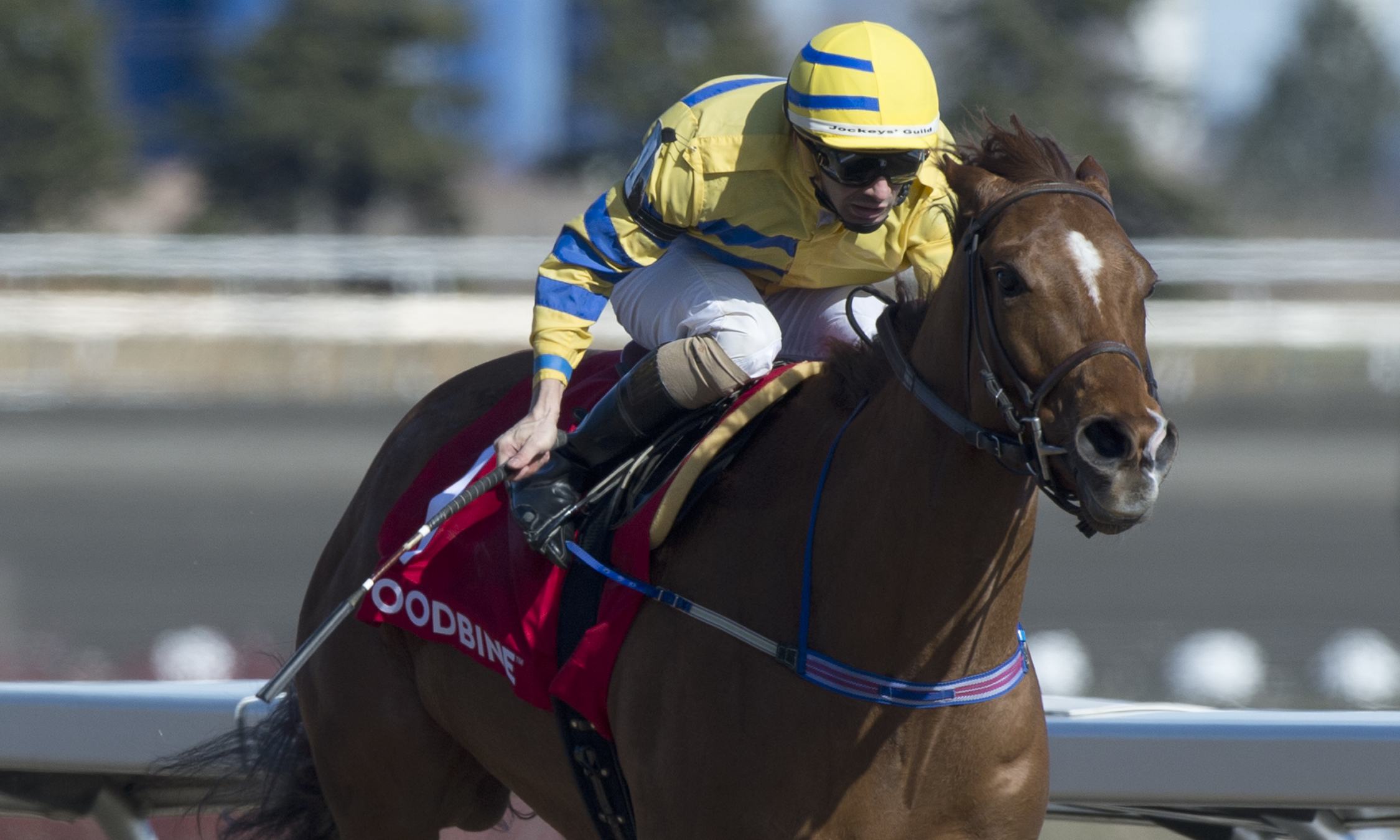 Pink Lloyd wins 2018 Jacques Cartier