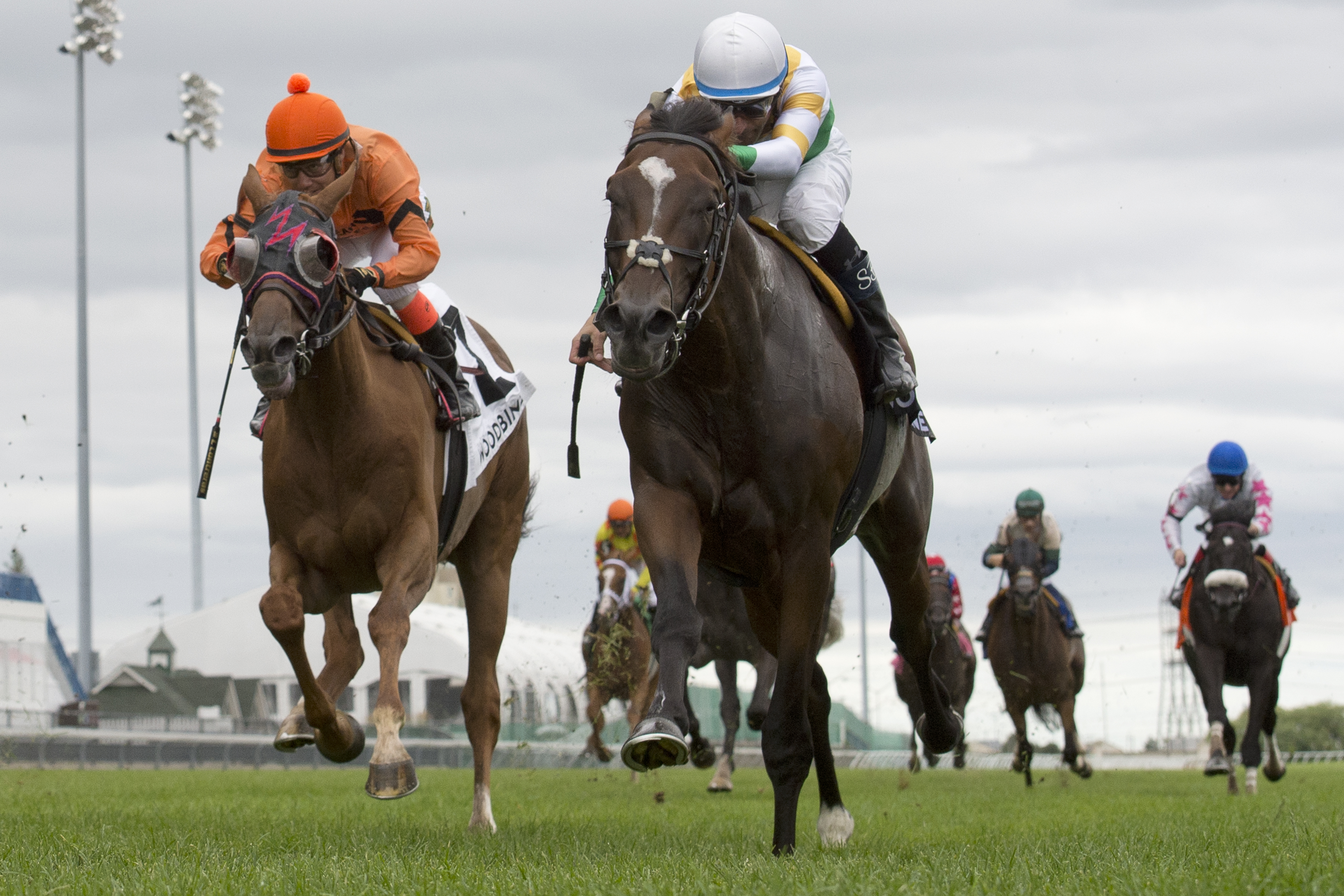 Tiz a Slam wins 2018 Nijinsky Stakes