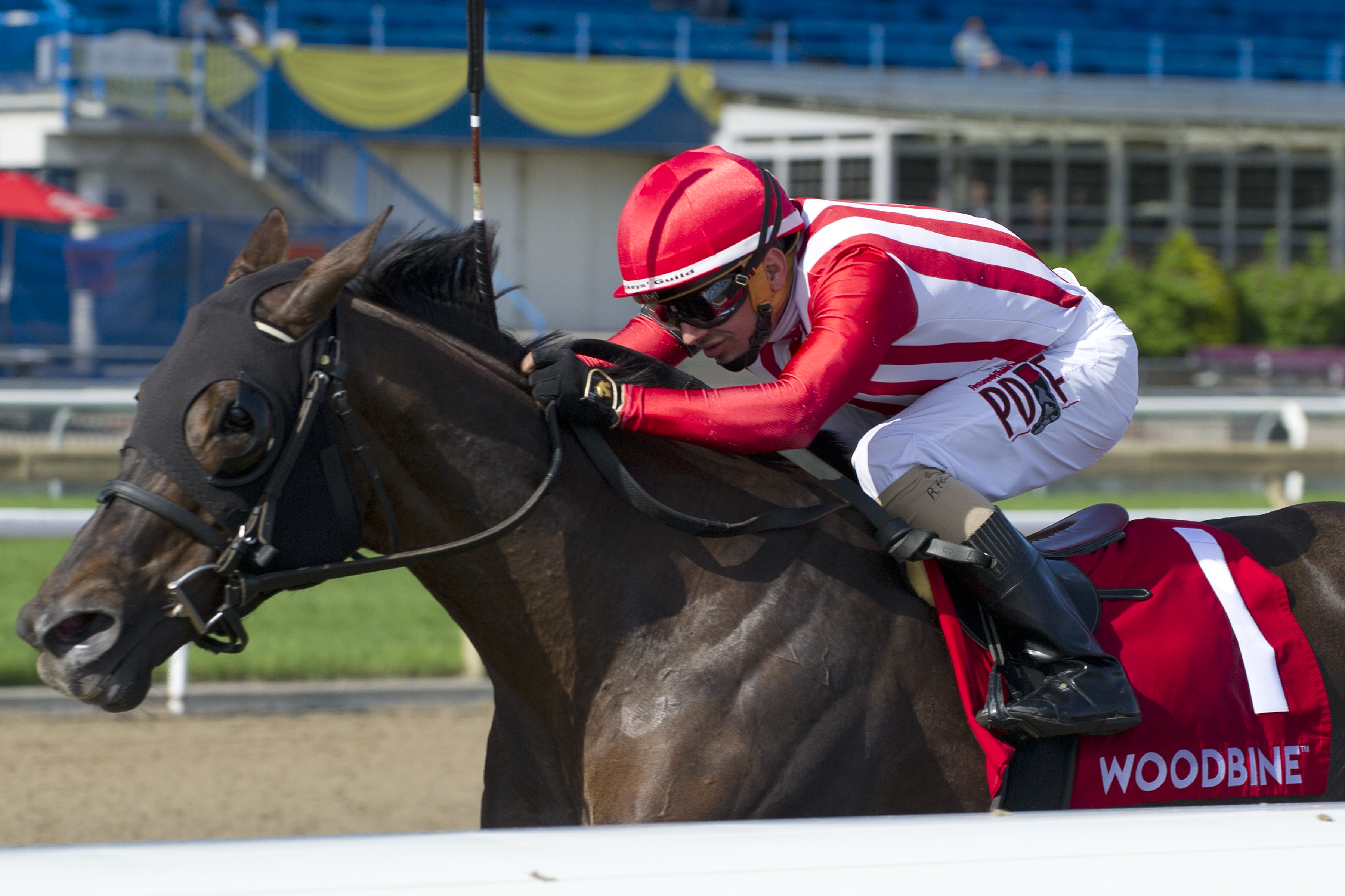 Scotty's Model wins 2018 Ballade