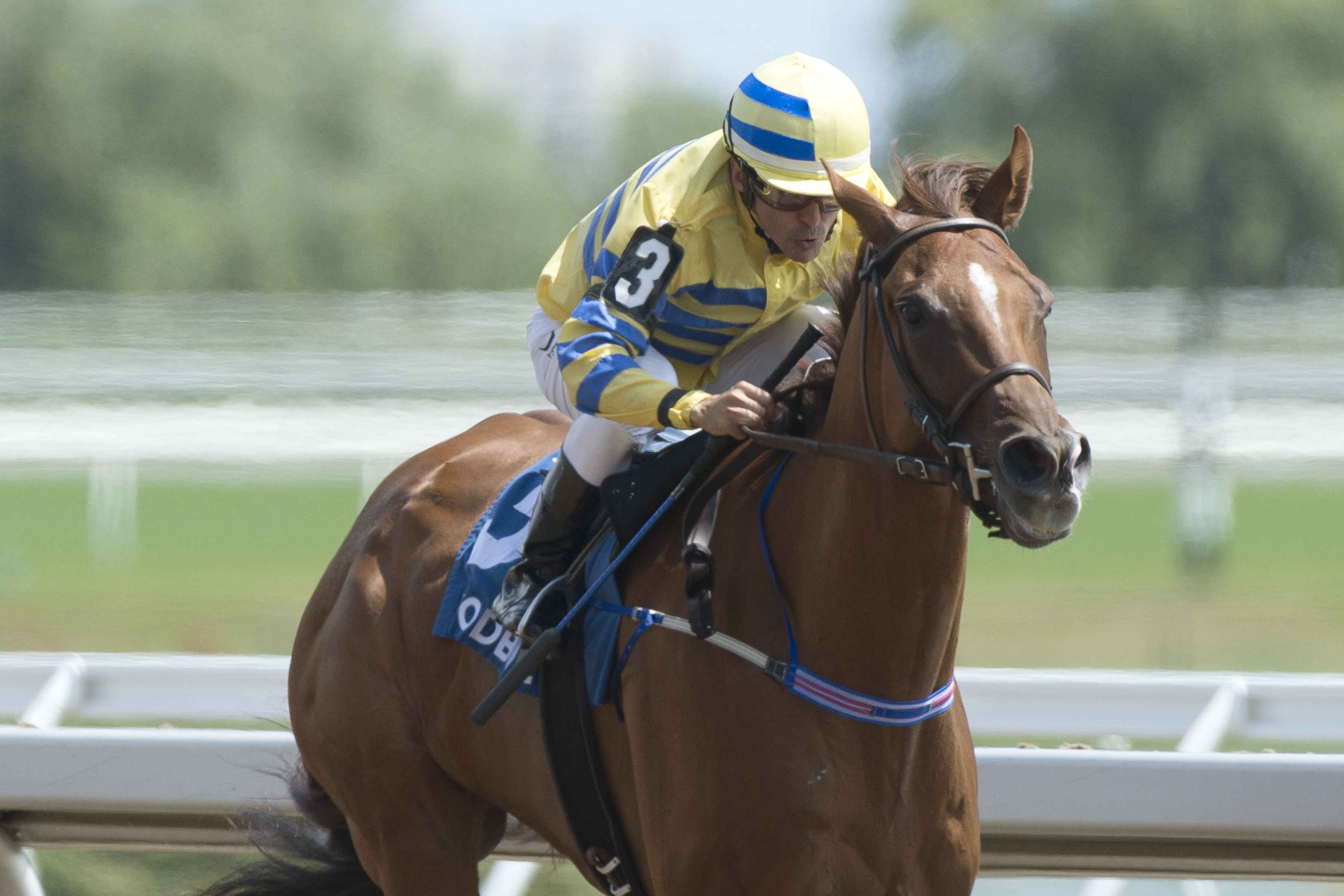 Pink Lloyd wins the 2019 Shepperton Stakes