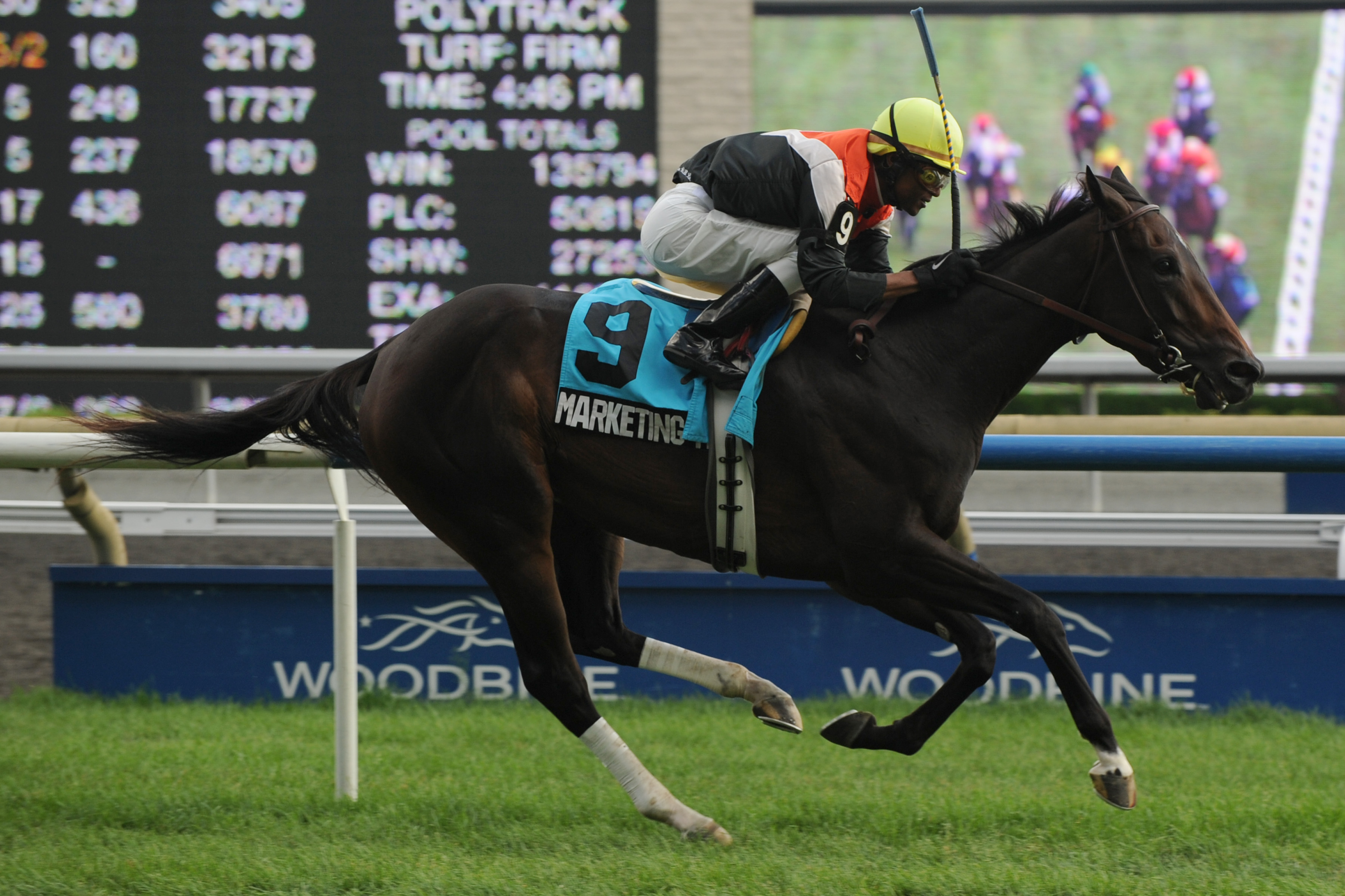 Marketing Mix - Wonder Where - Woodbine