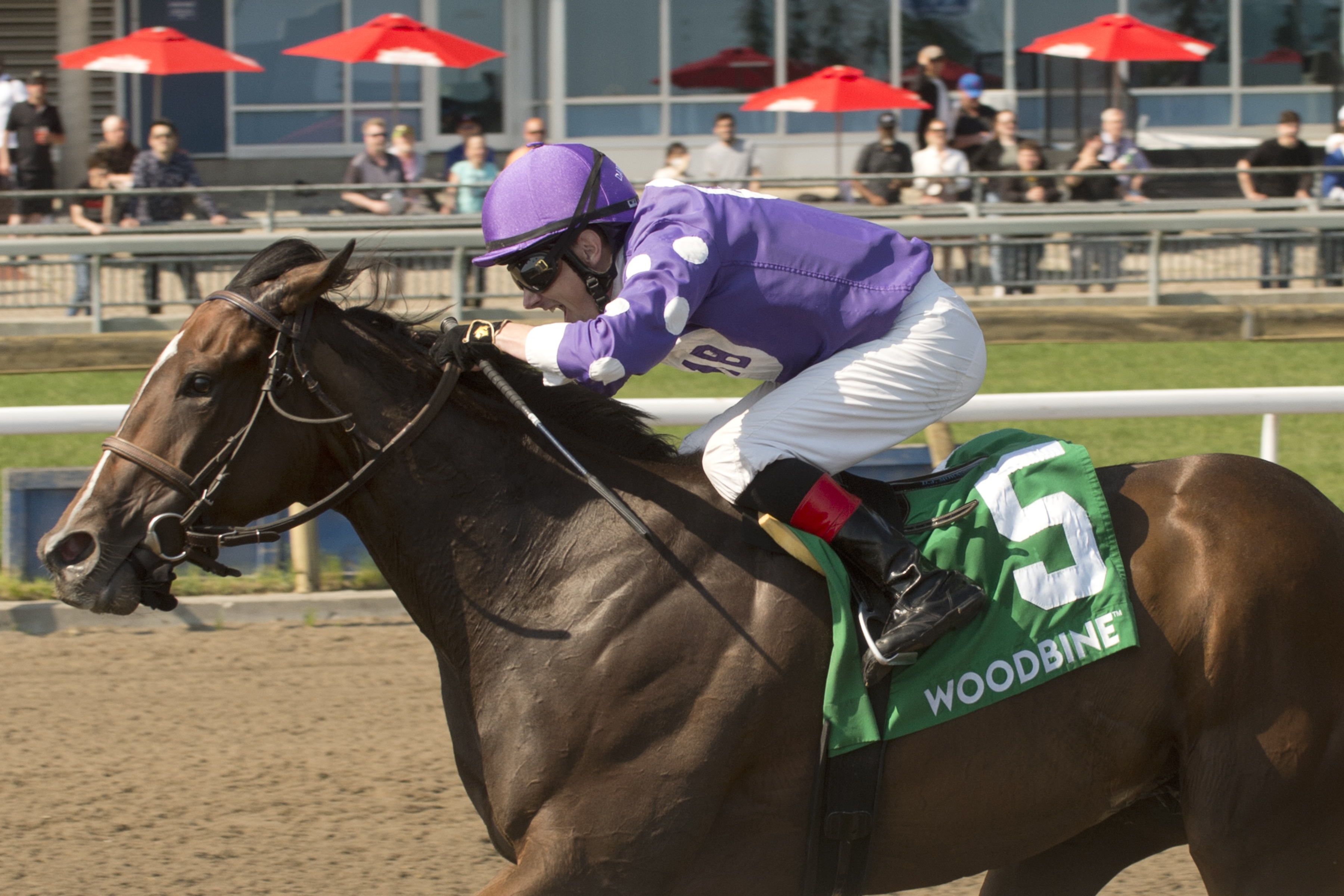 Artie's Storm wins the Eclipse 5-29-2022