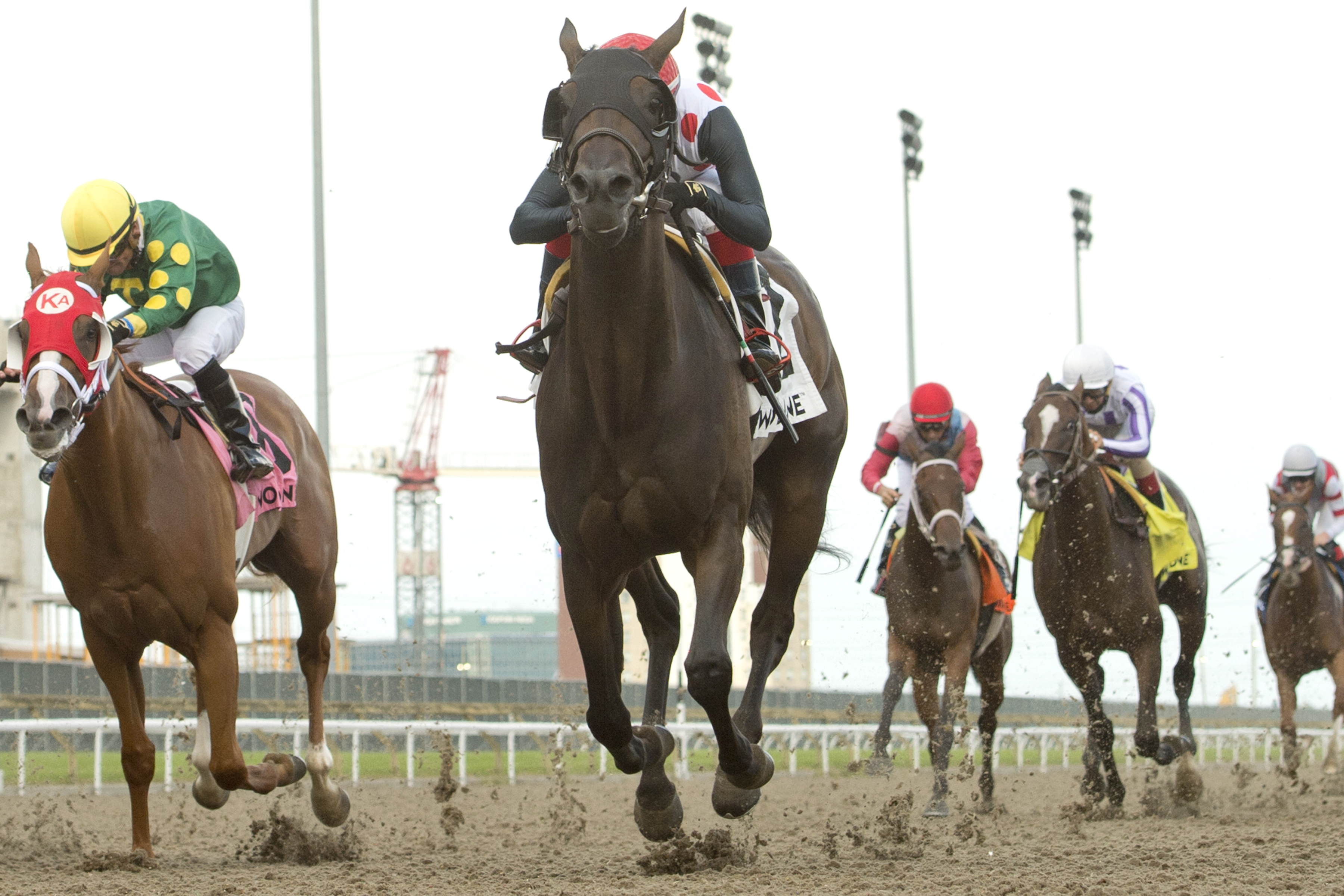 Souper Escape wins Seaway Stakes 8-16-2020