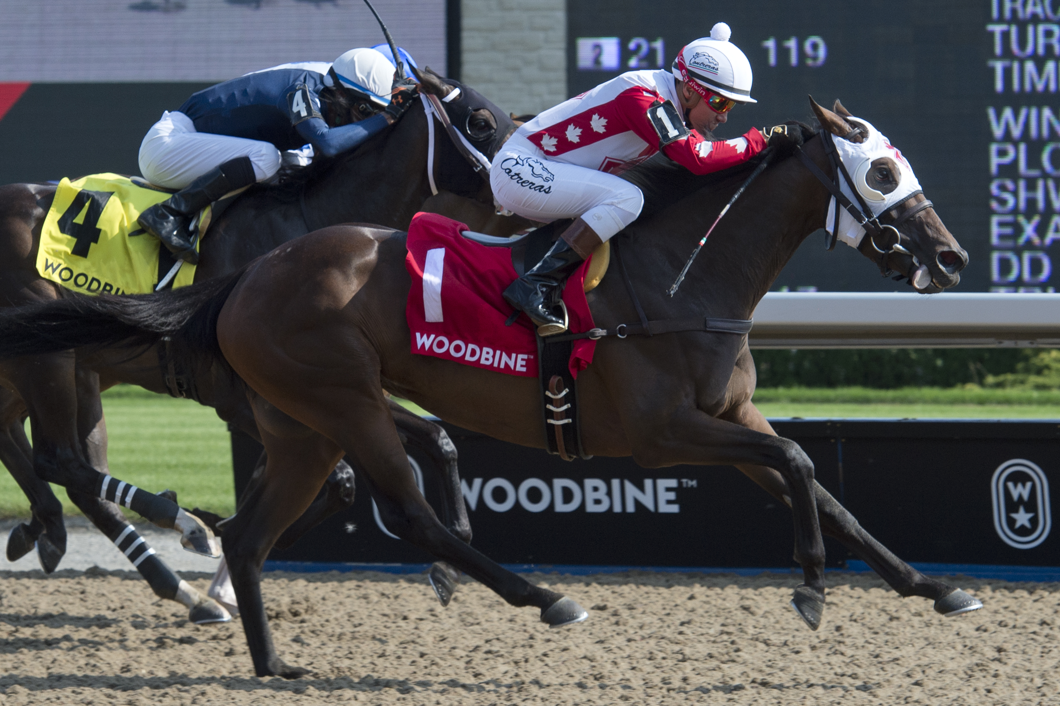 Line of Vision wins 2018 Eternal Search