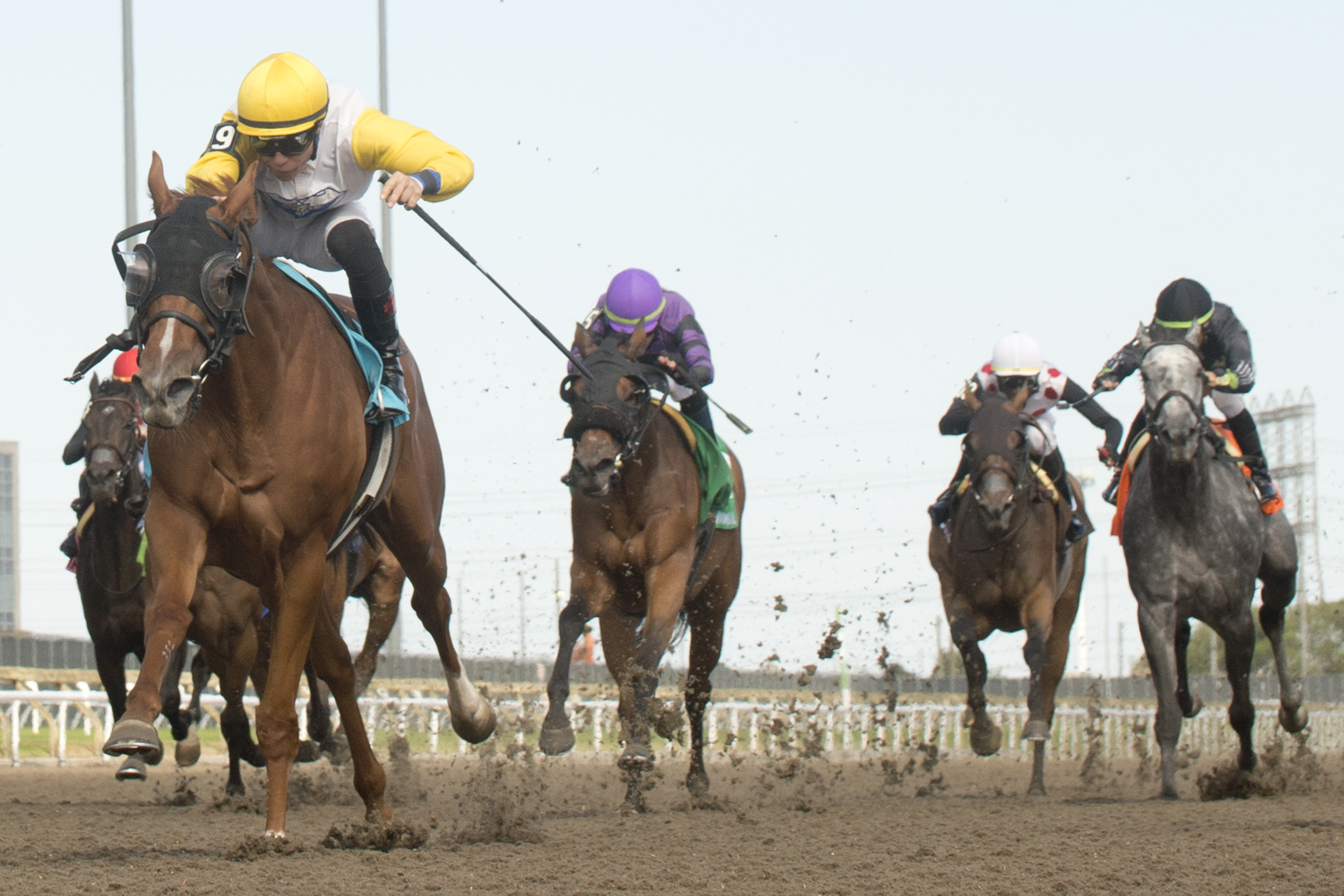 Lady Speightspeare wins Trillium 8-13-2022