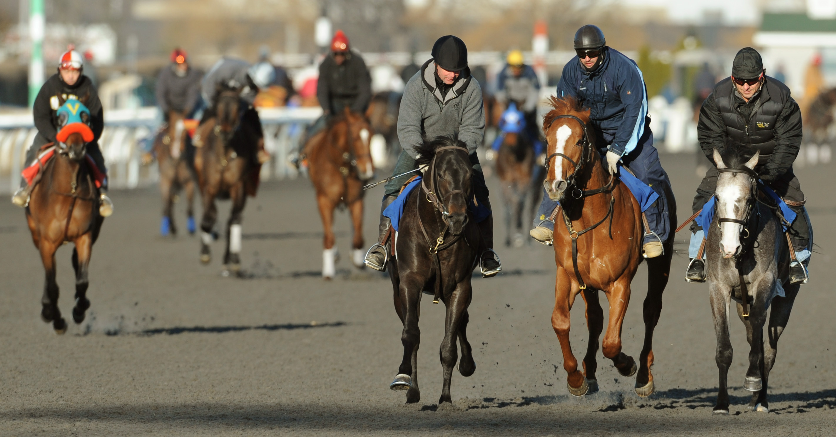 Woodbine training