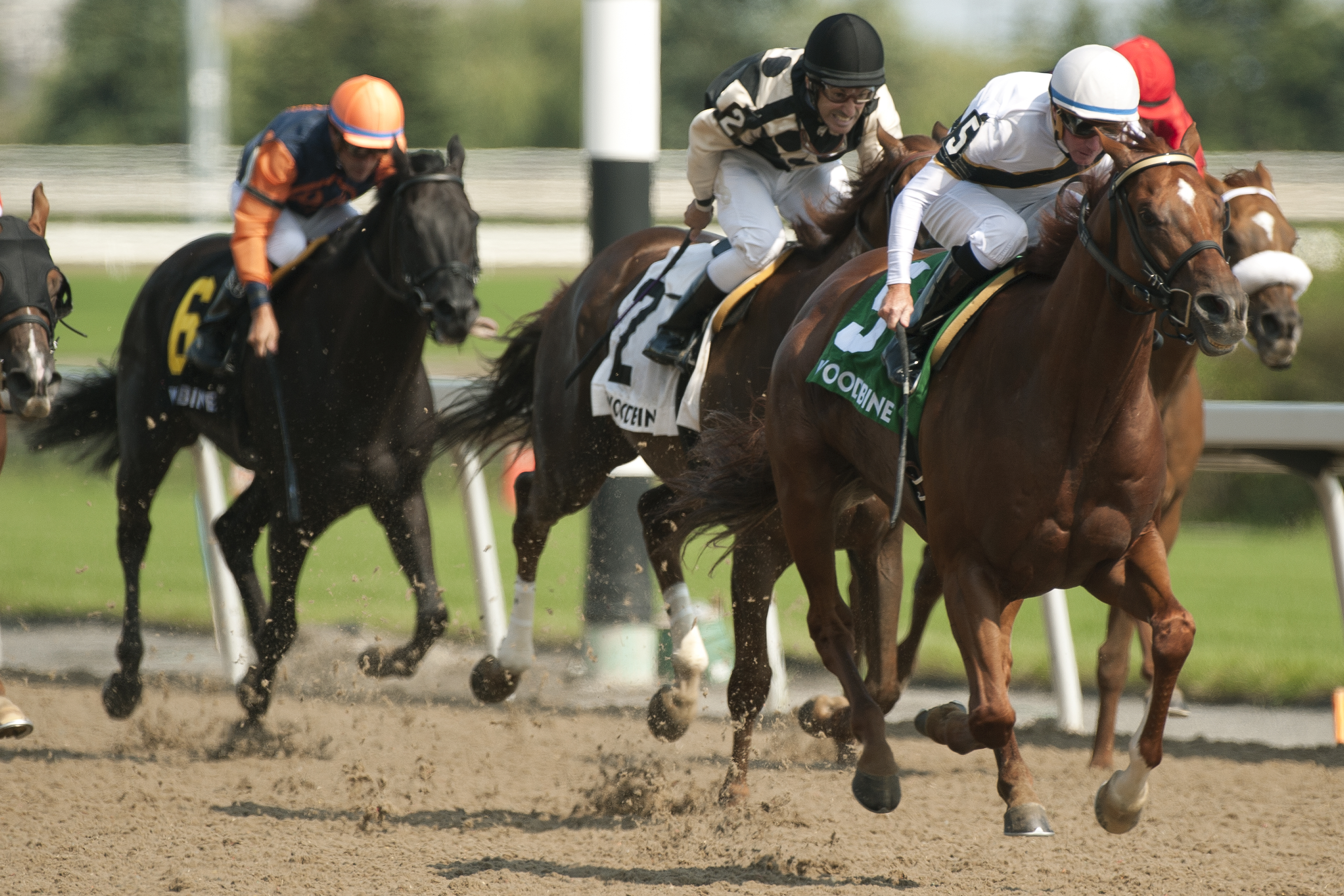 Decorated Soldier wins 2018 Seagrams Cup