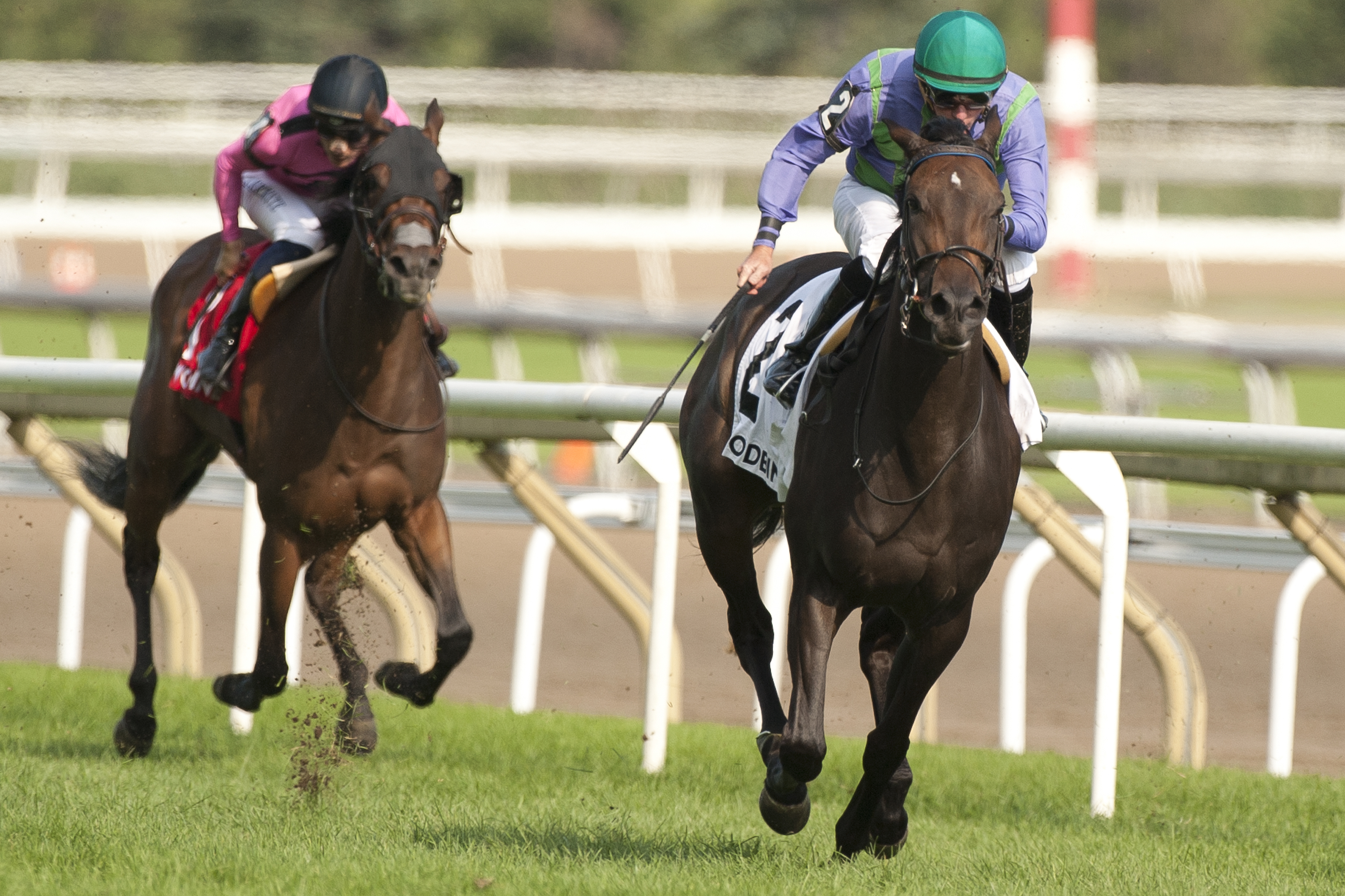 Avie's Mineshaft wins 2018 Wonder Where