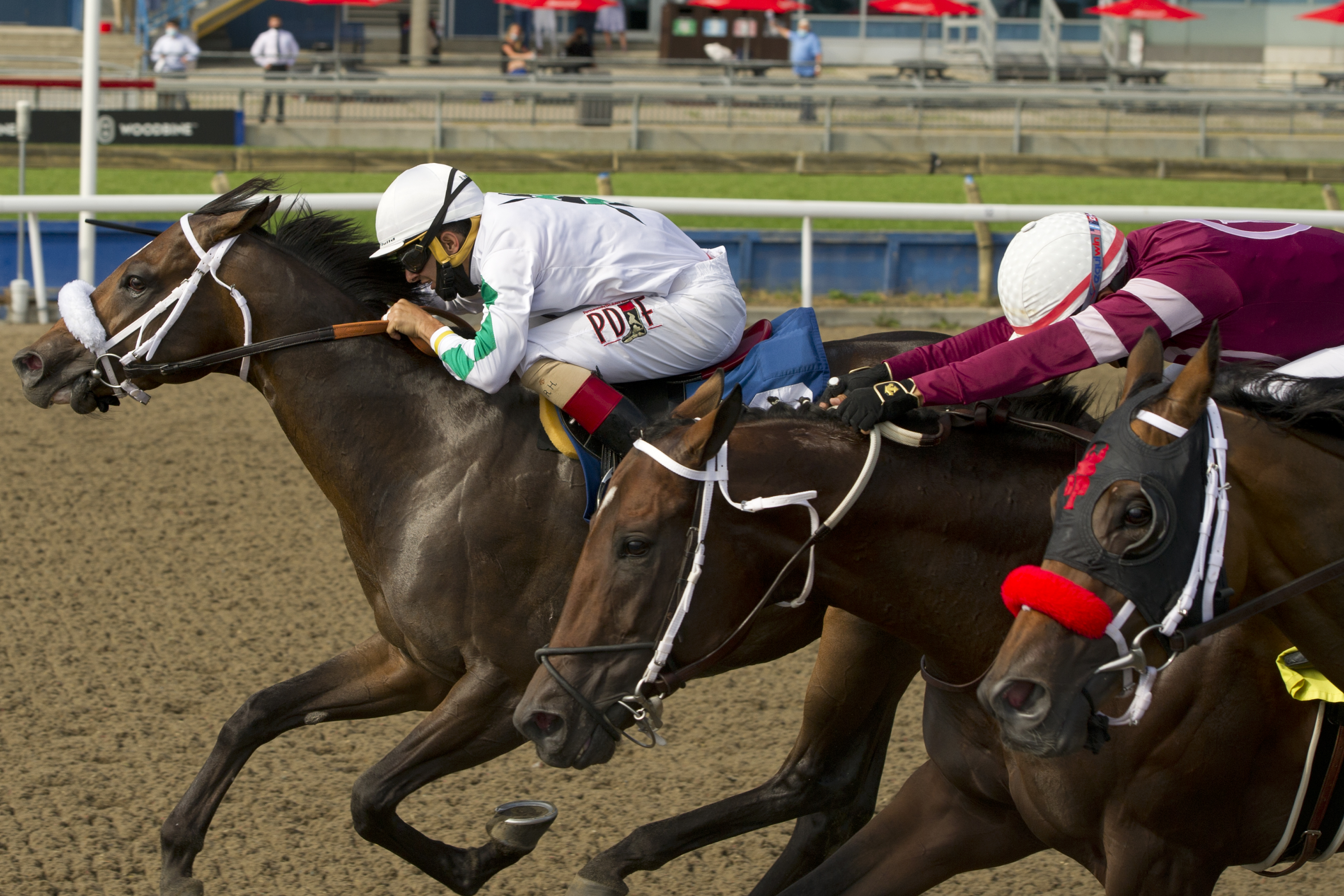 Clayton wins Plate Trial 8-15-2020
