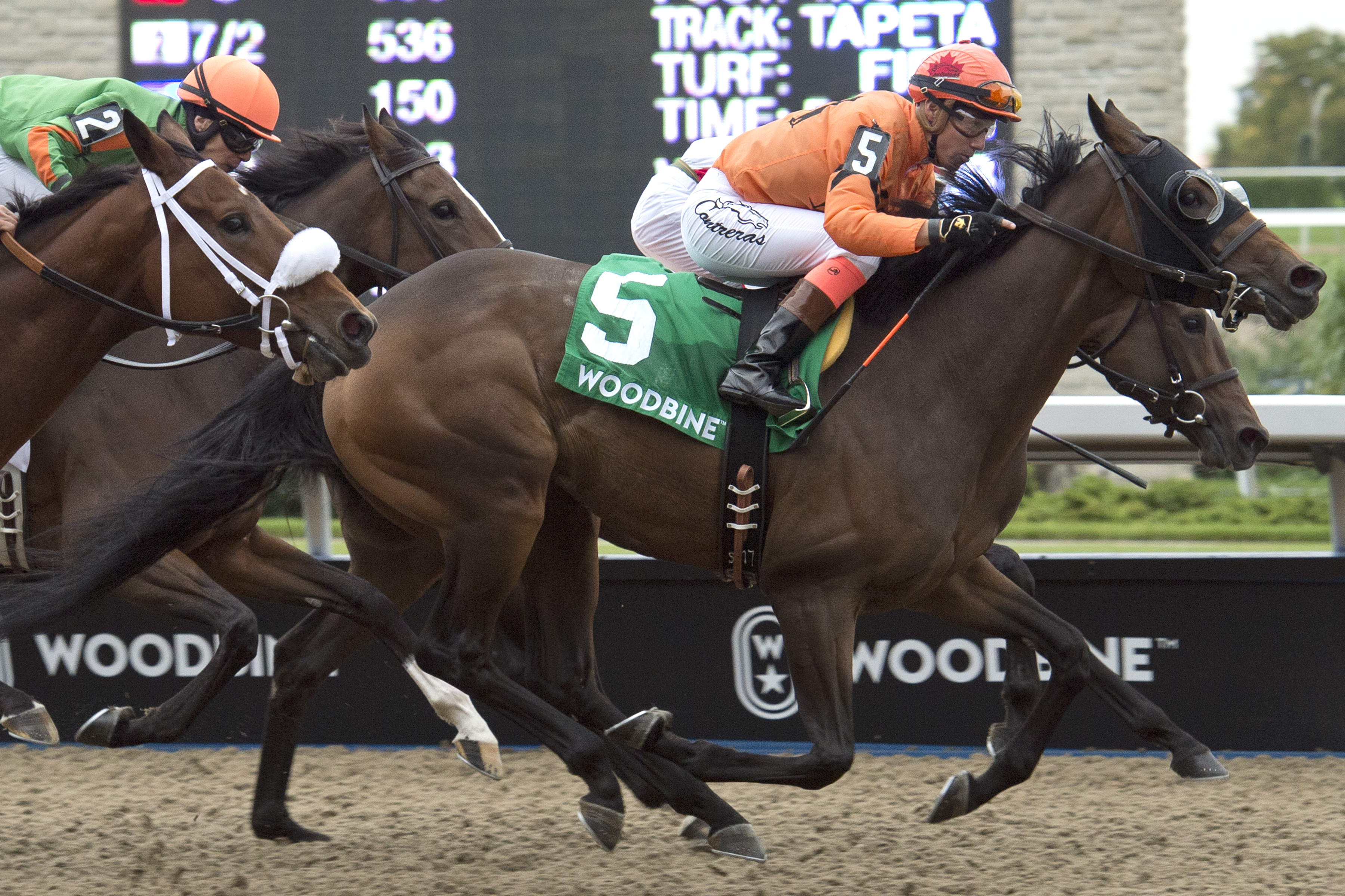 Bear Paw wins 2018 Classy N Smart Stakes