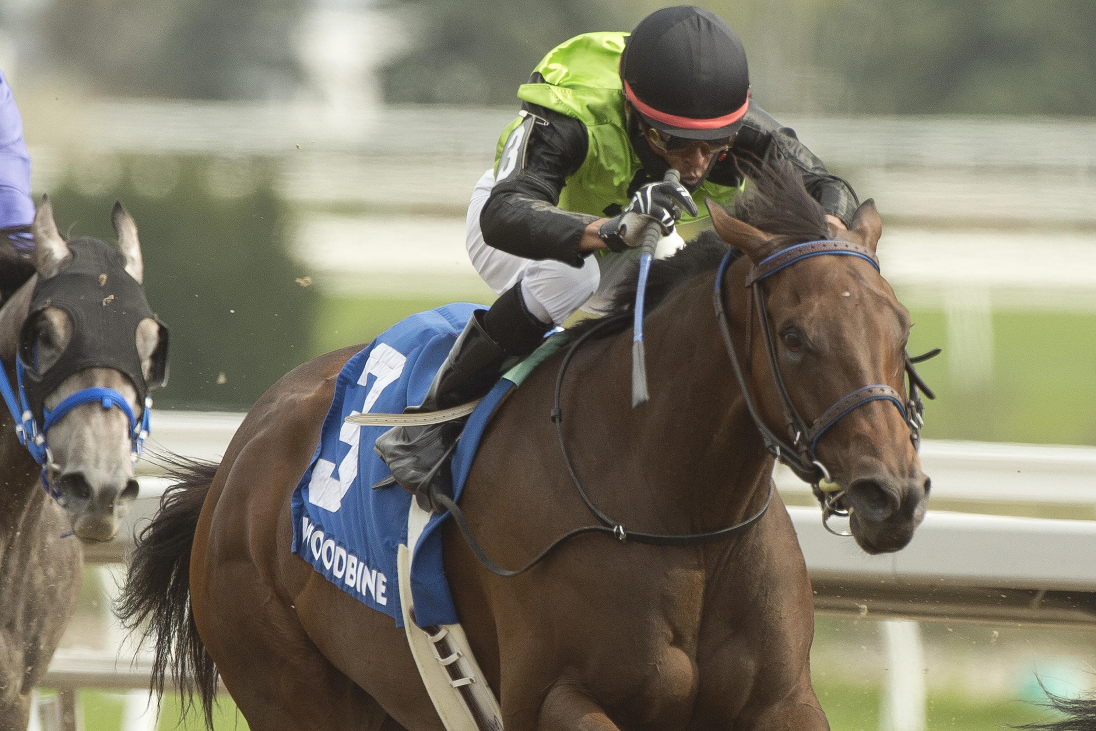 Painting wins Ontario Fashion Stakes 9-26-2020