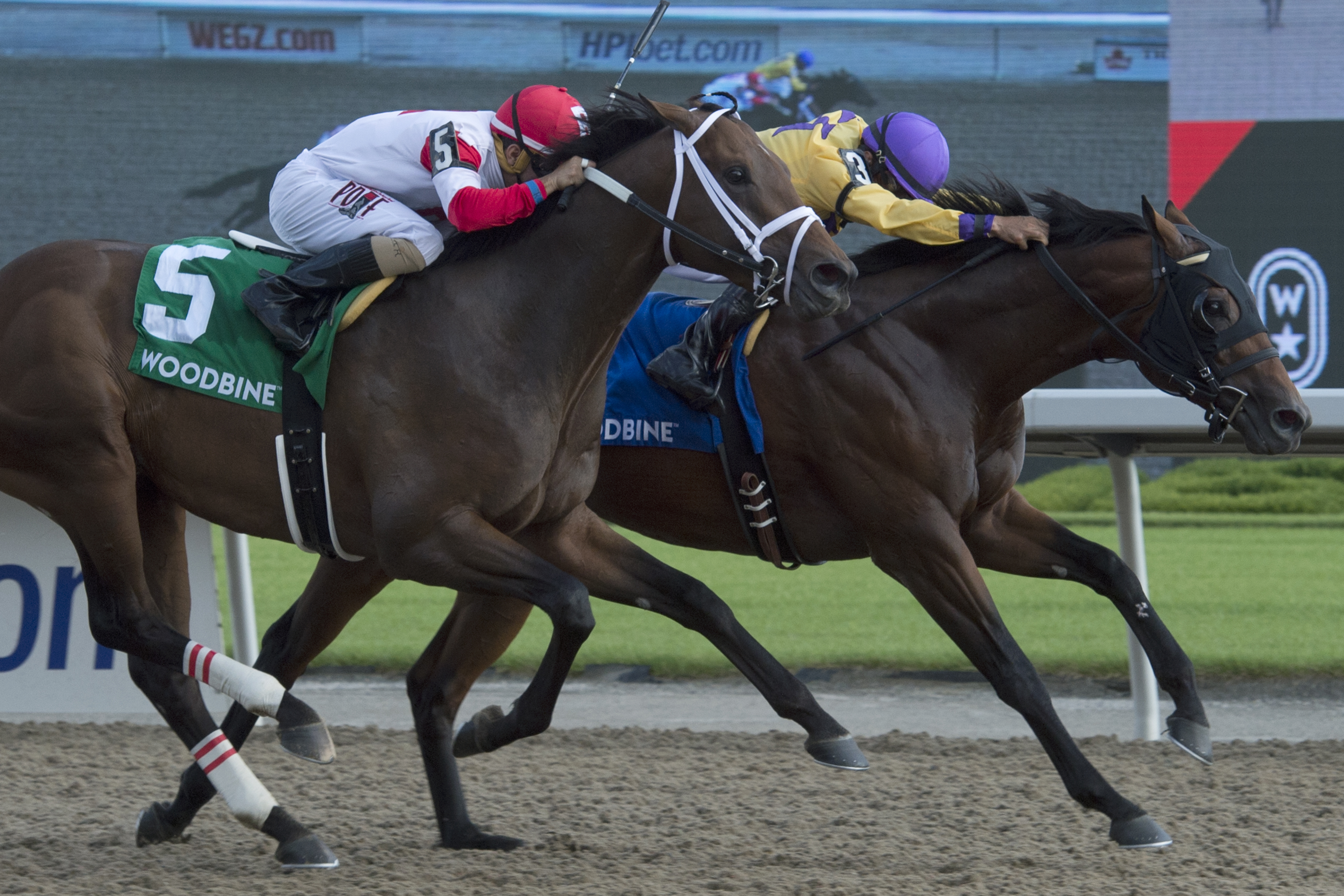 Wyatt's Town wins 2018 Ontario Jockey Club