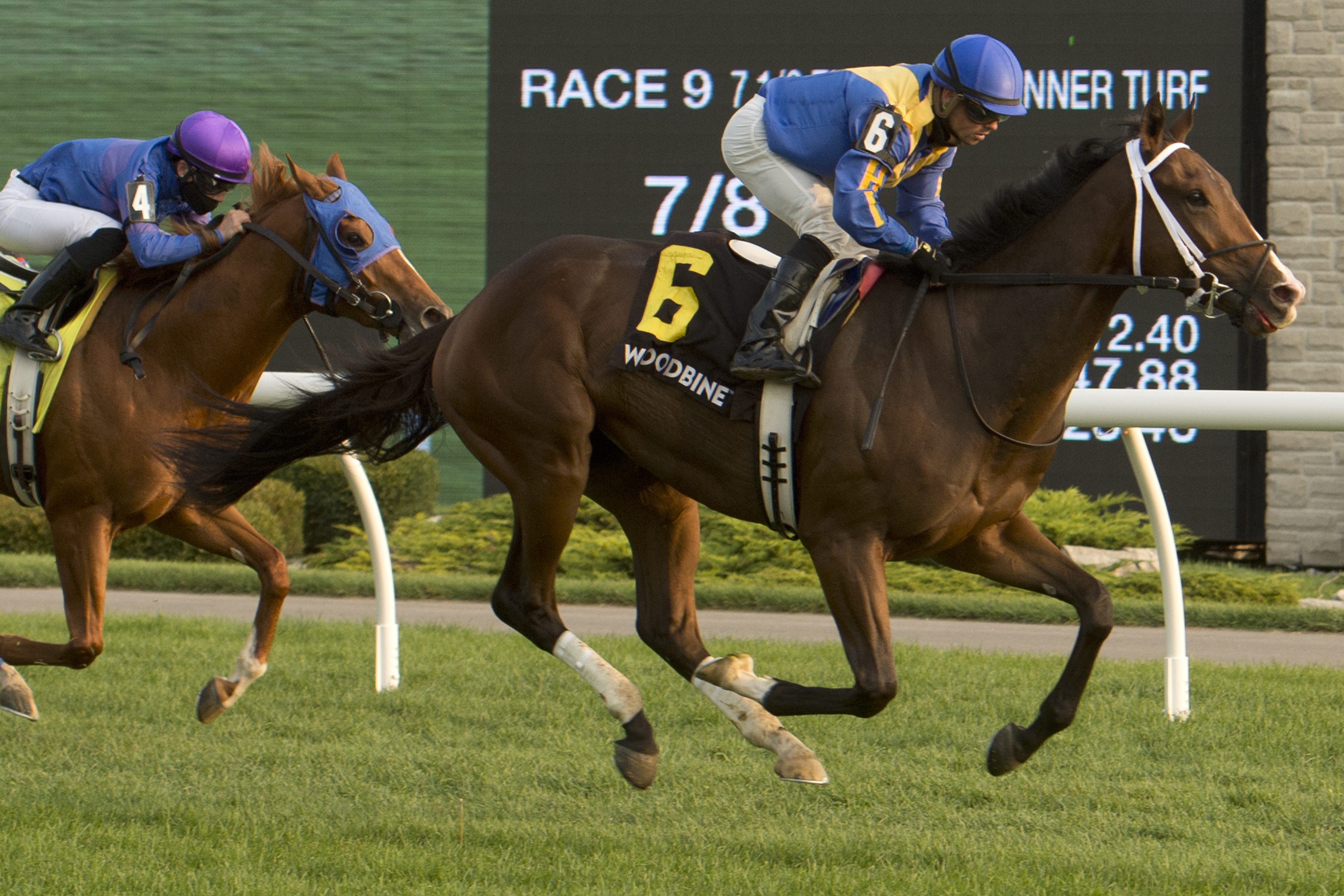 Avoman wins Bull Page 9-27-2020