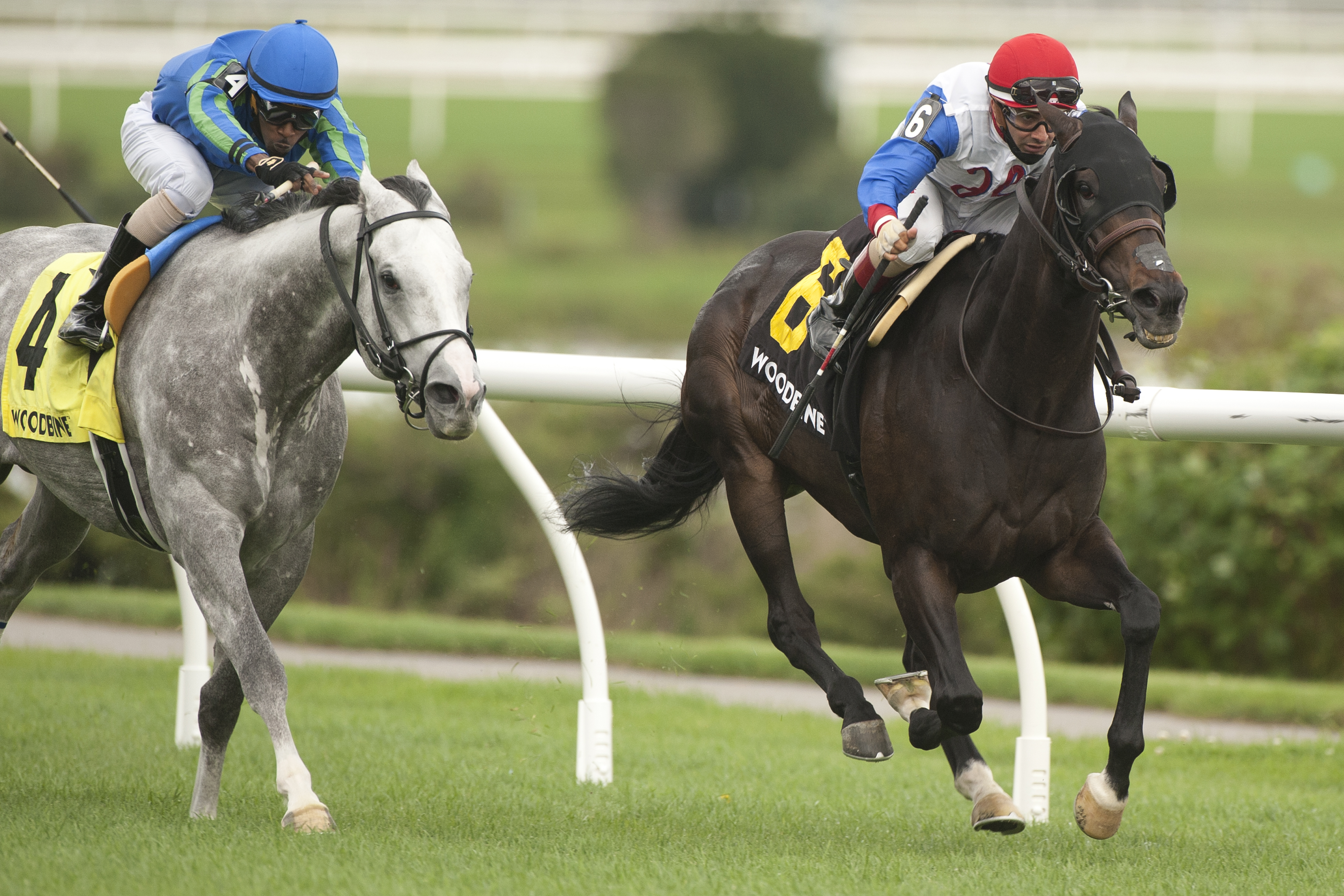 Not So Quiet (6) wins Vice Regent 9-11-2021