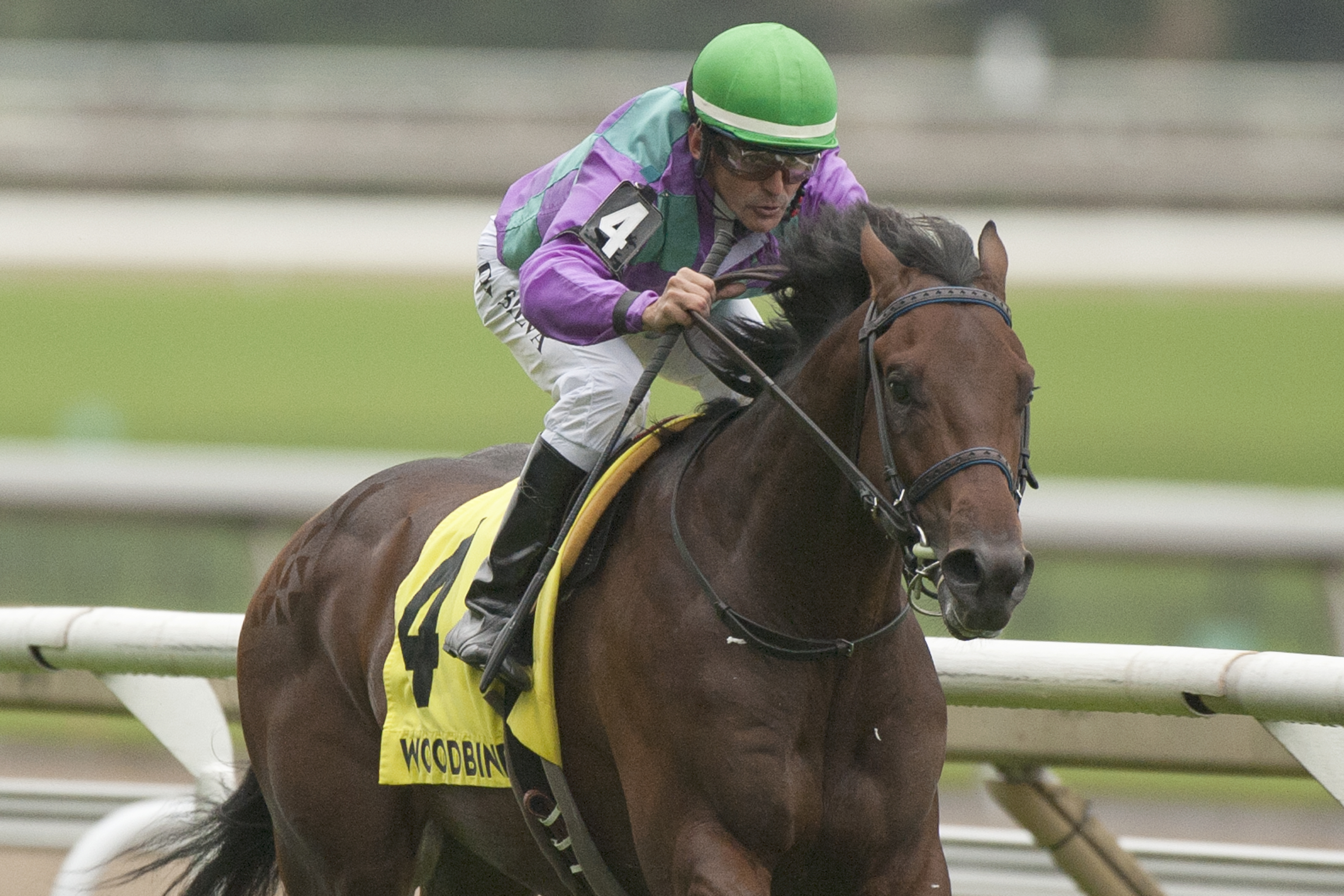 Avie's Flatter wins 2018 Cup and Saucer