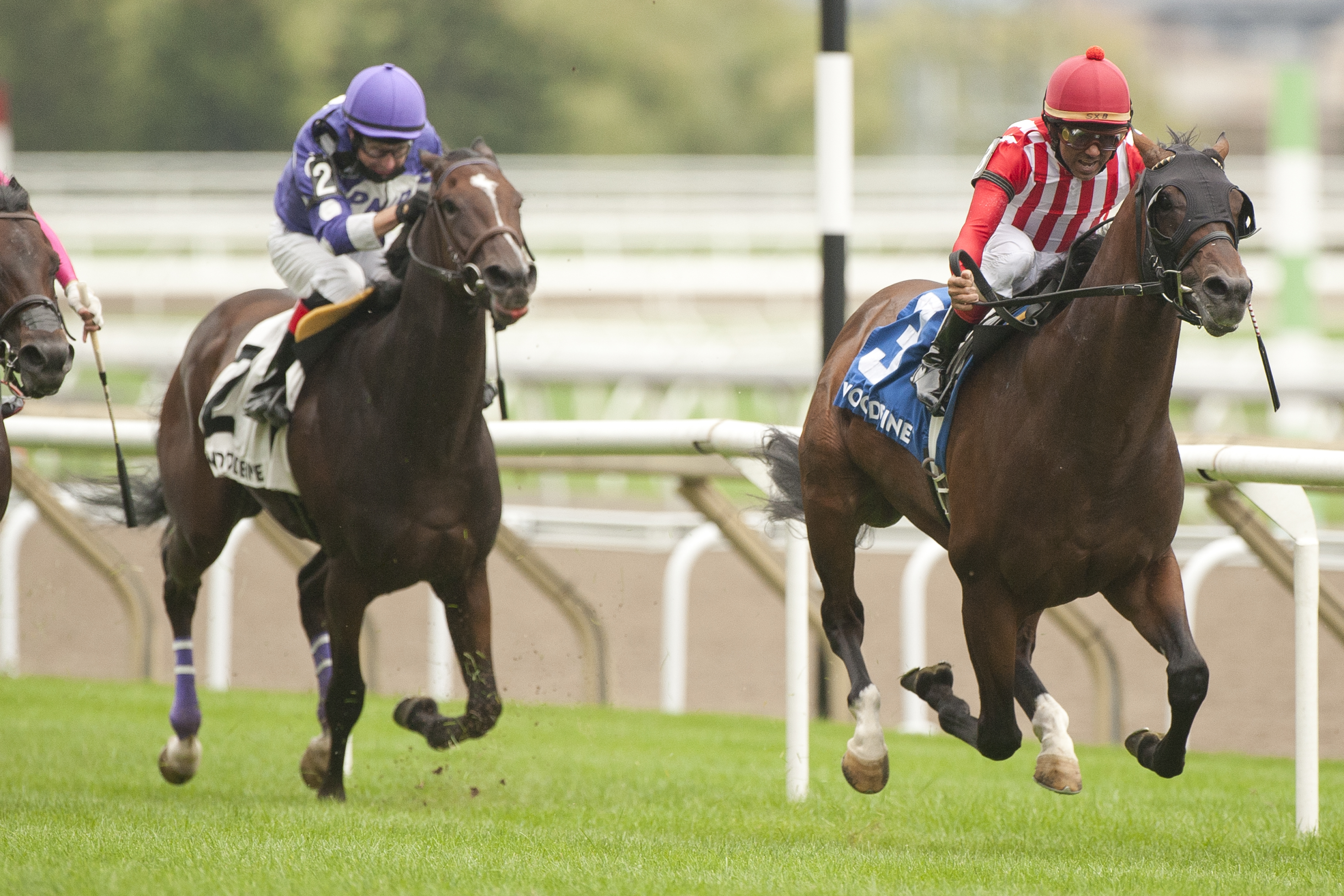 War Bomber (right) wins Toronto Cup 9-12-2021