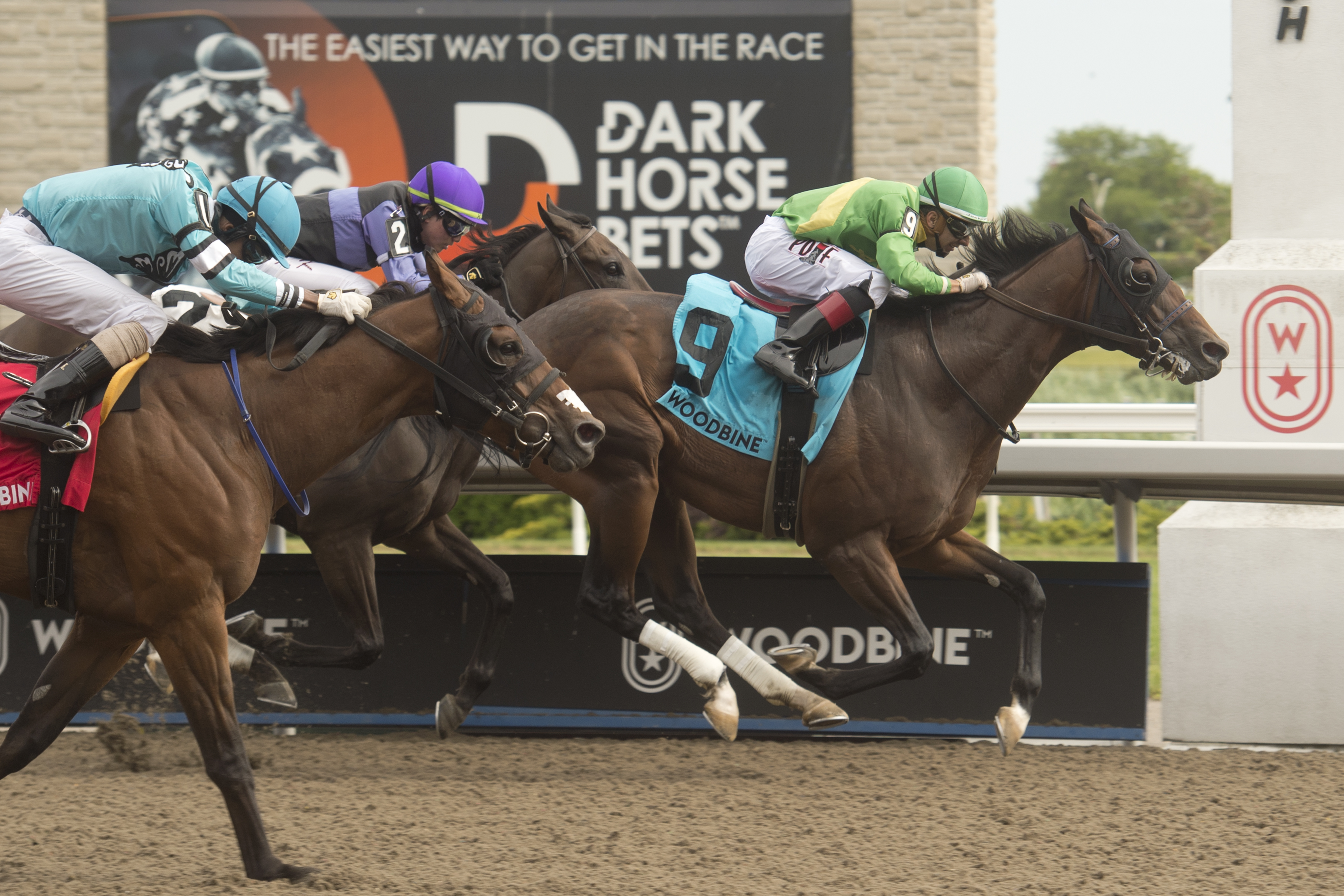 Mason's Gamble wins Ontario Jockey Club 6-19-2022