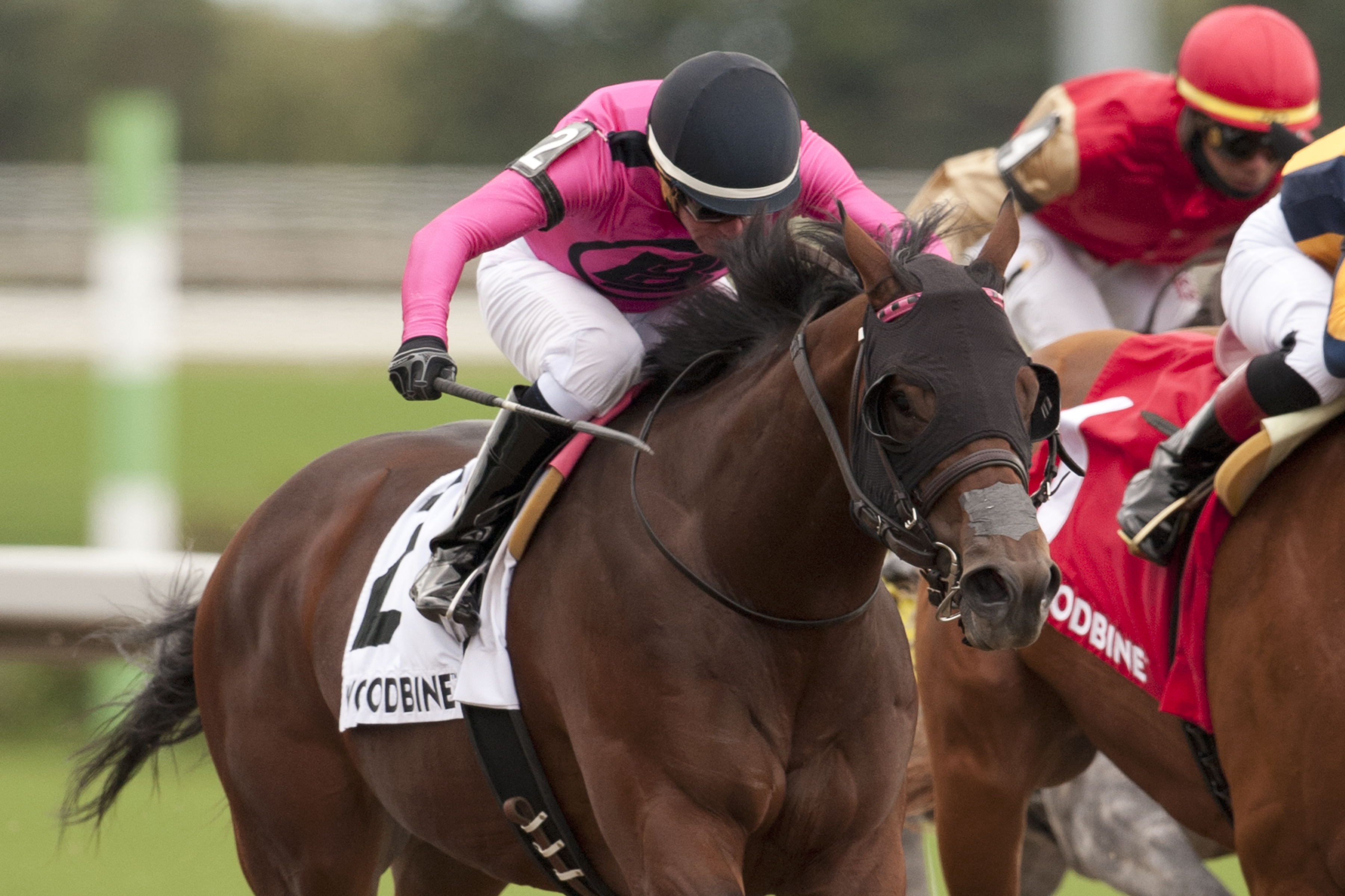 Looking To Strike wins 2018 Ontario Derby