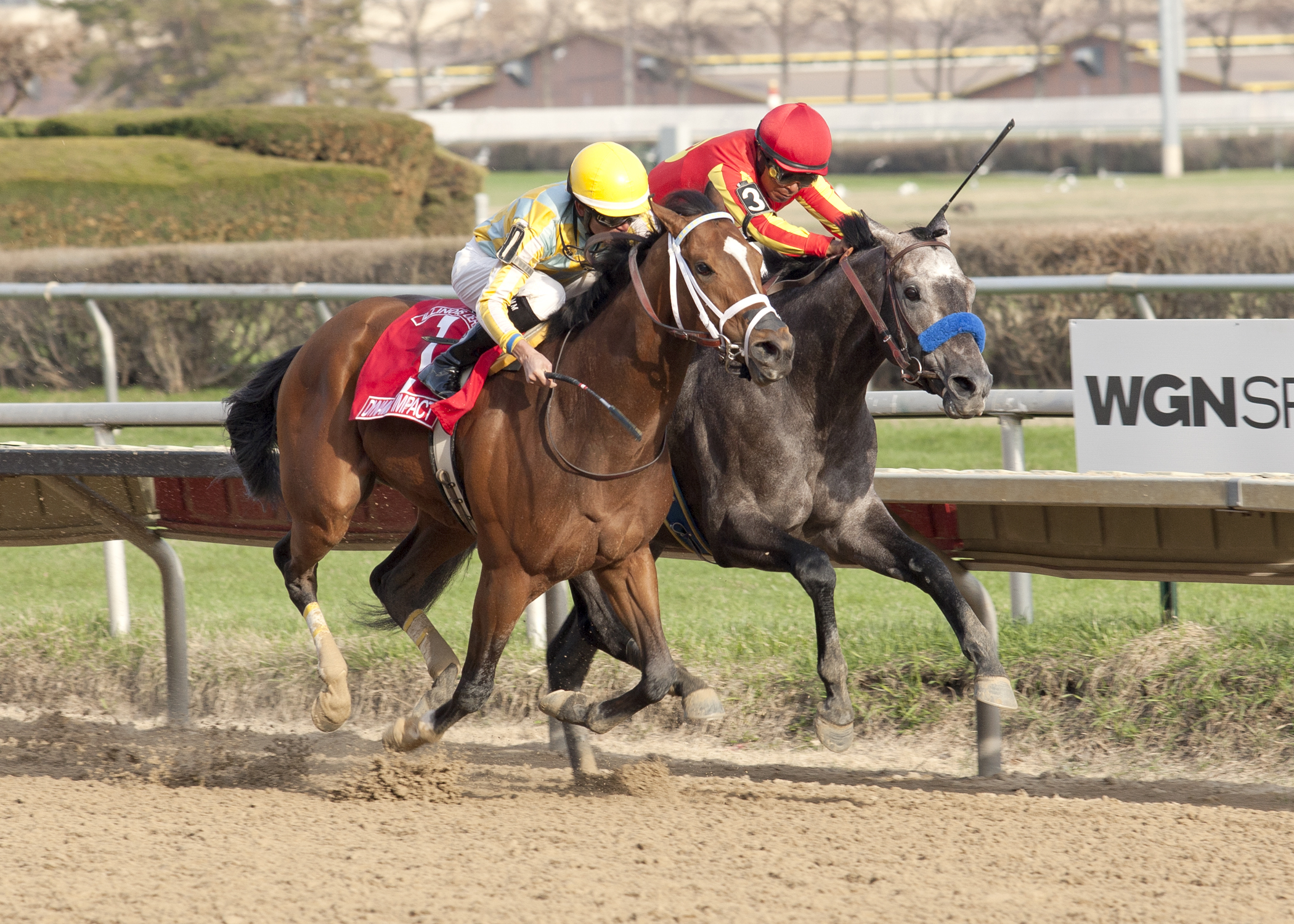 Dynamic Impact 4-19-2014