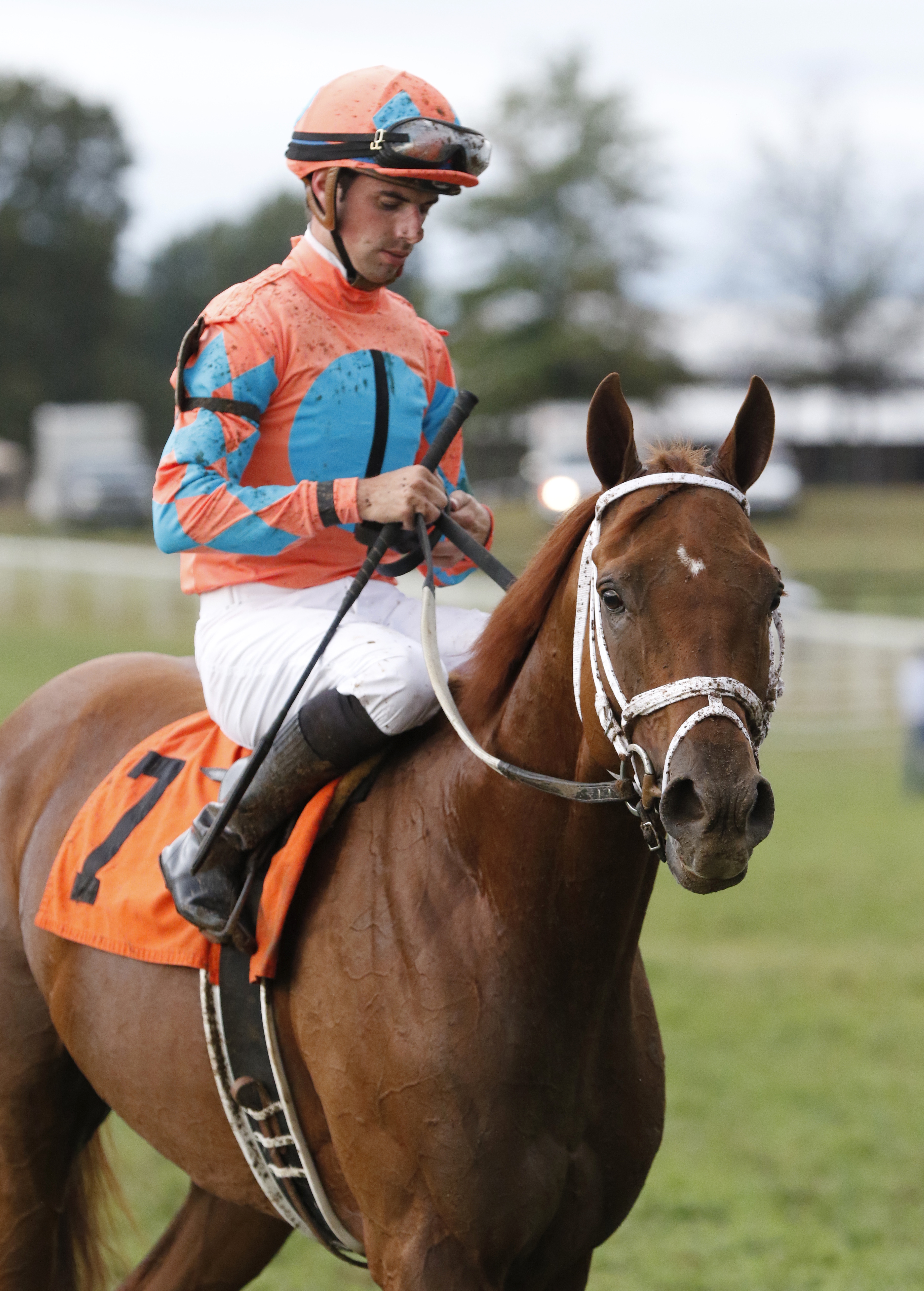 Da Big Hoss at the Kentucky Turf Cup