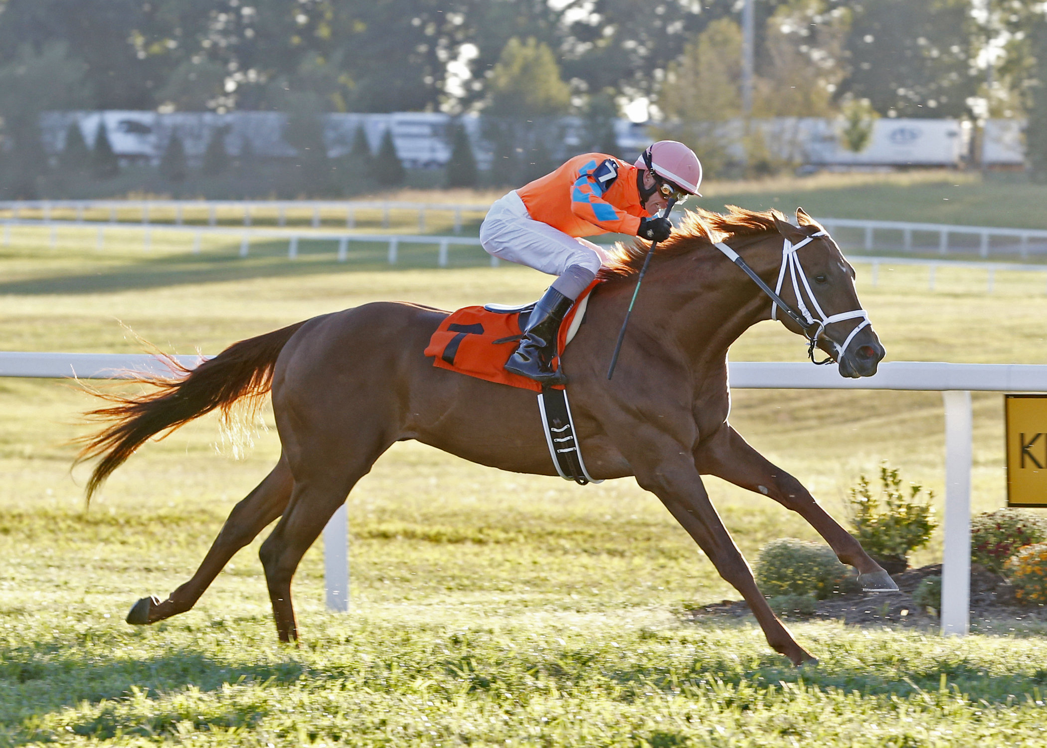 Da Big Hoss wins the Kentucky Turf Cup