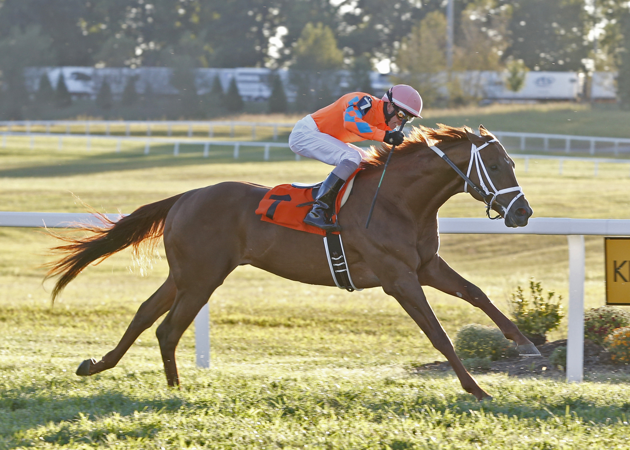 Da Big Hoss wins the 2015 Kentucky Turf Cup