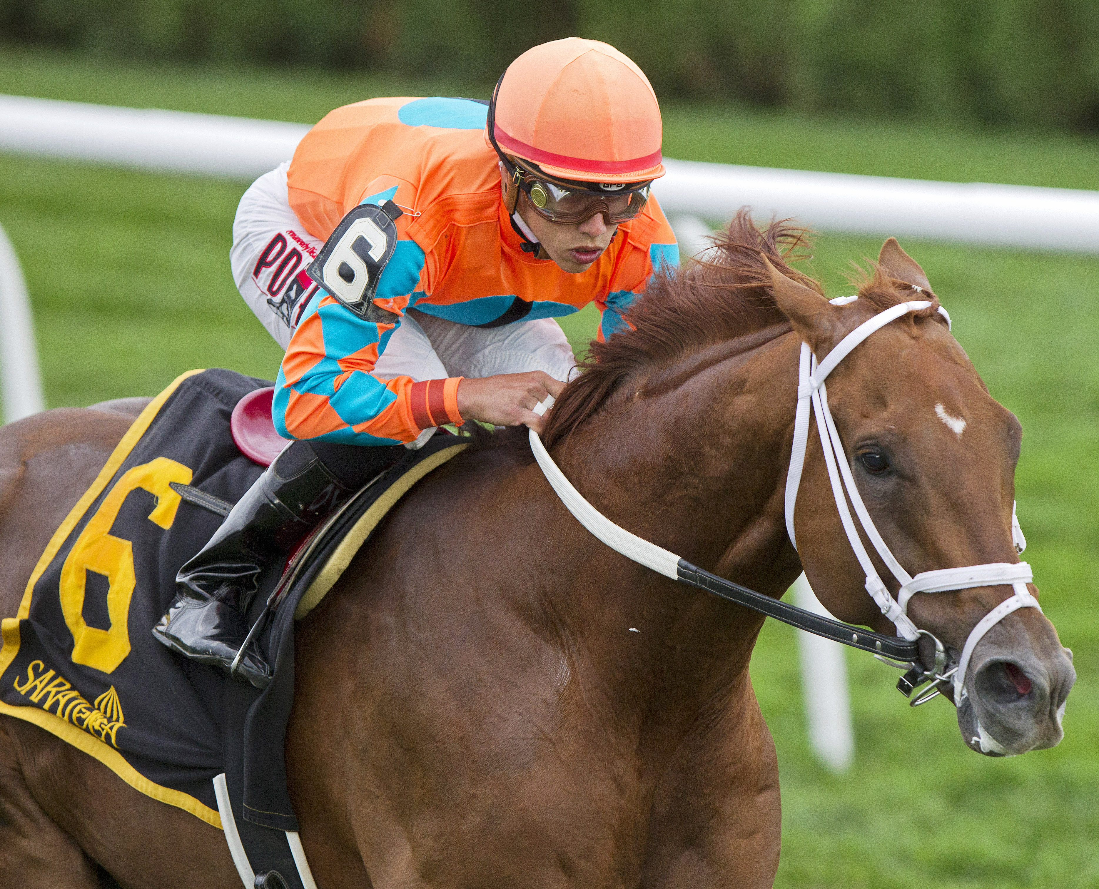 Da Big Hoss wins the John's Call Stakes