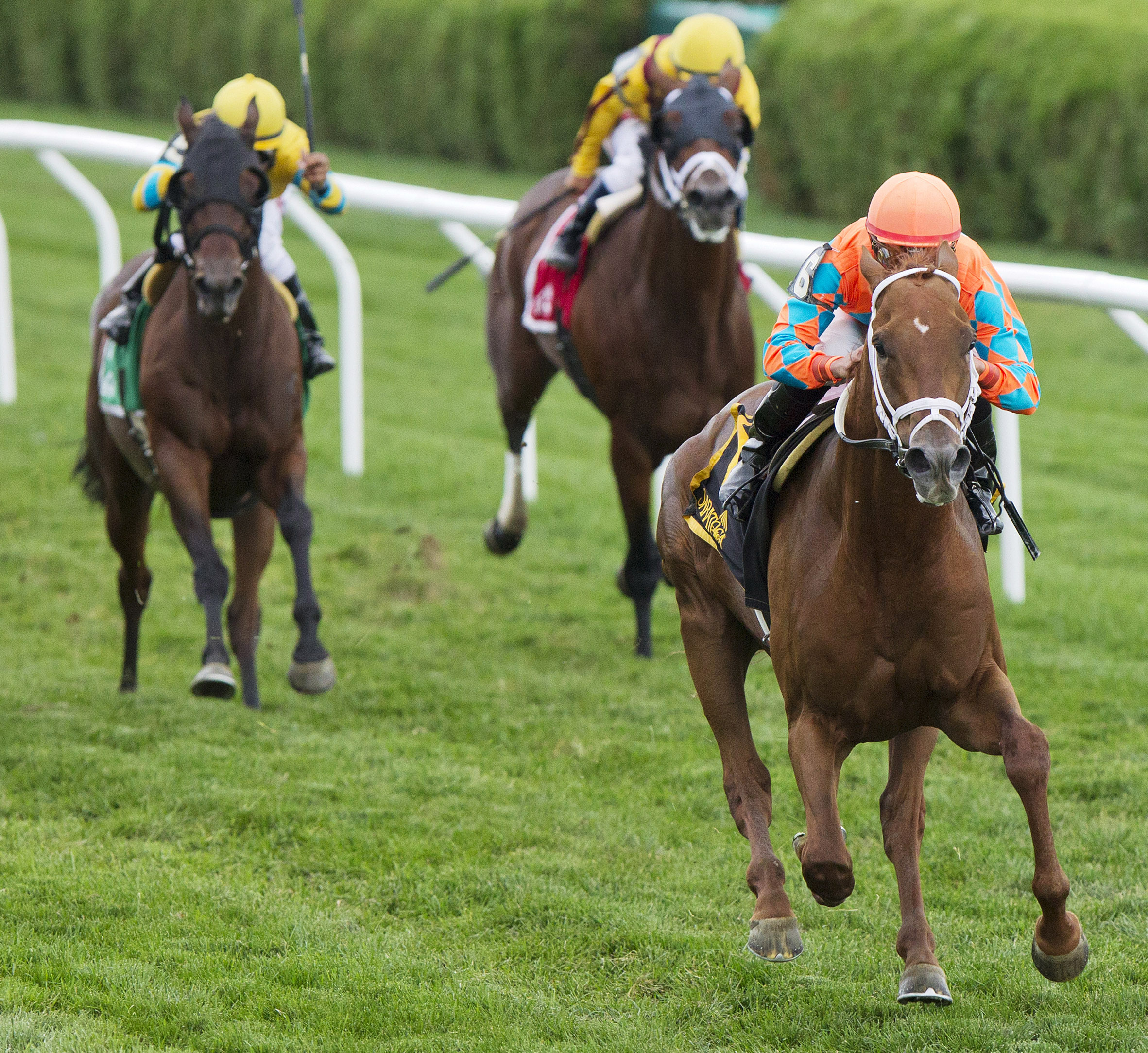 Da Big Hoss wins the John's Call