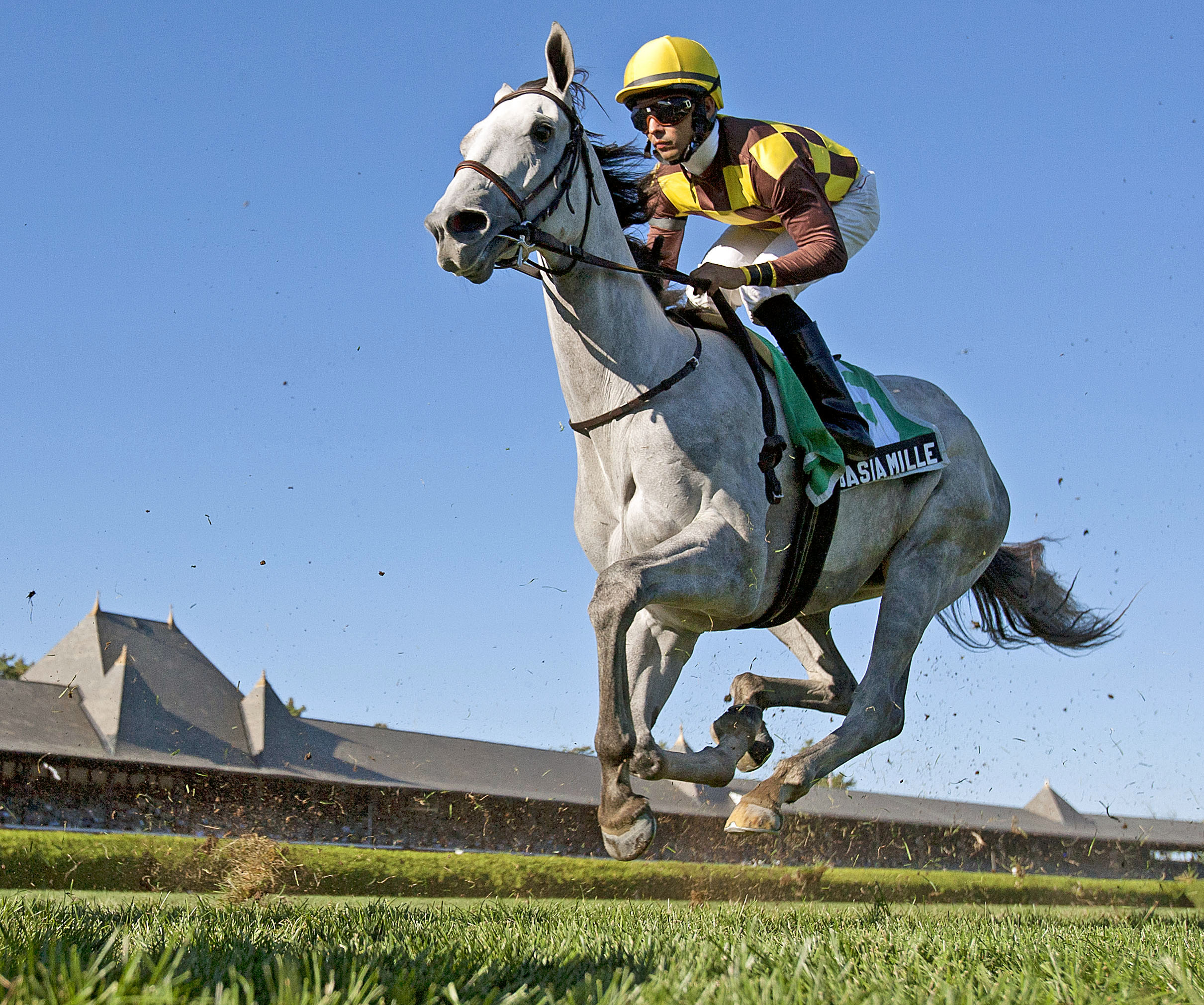 Da Mi Basia Mille finishes fourth in the P.G. Johnson Stakes